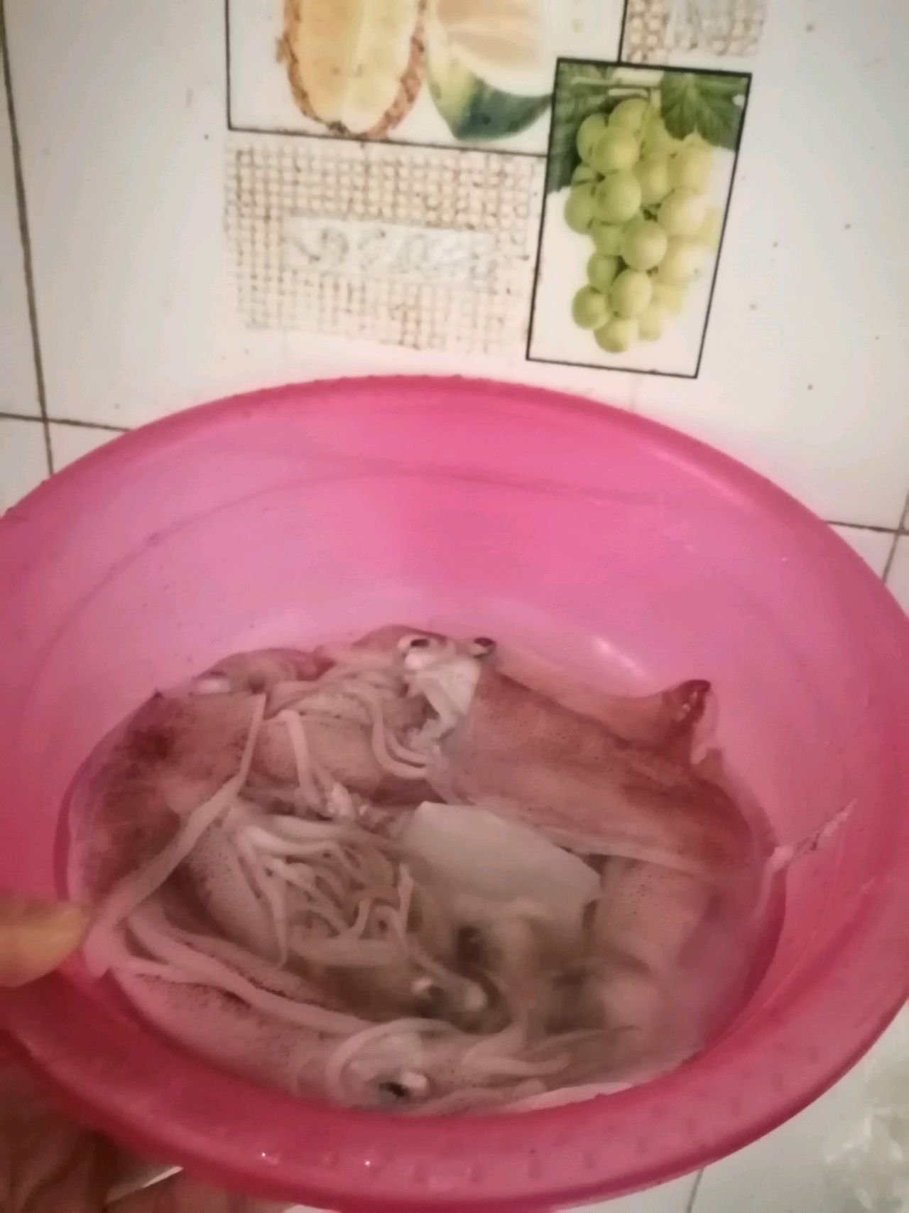 徐氏海鲜系列之笔管鱼