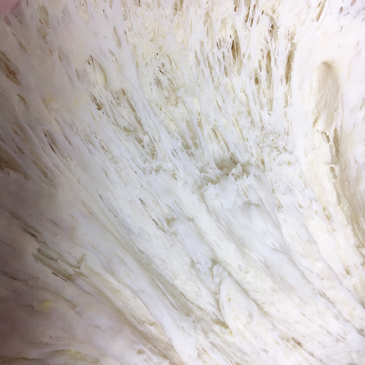 雪里红馅大包子