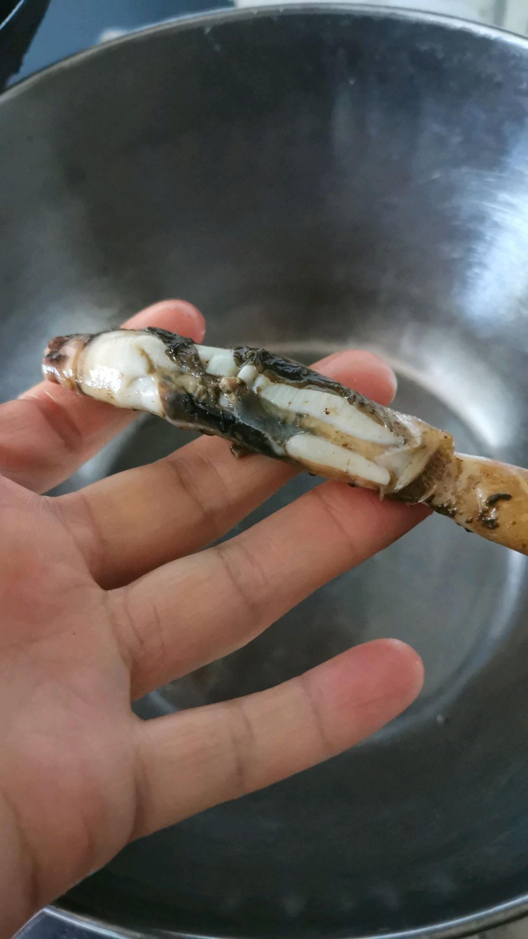 盐爆海蛏子