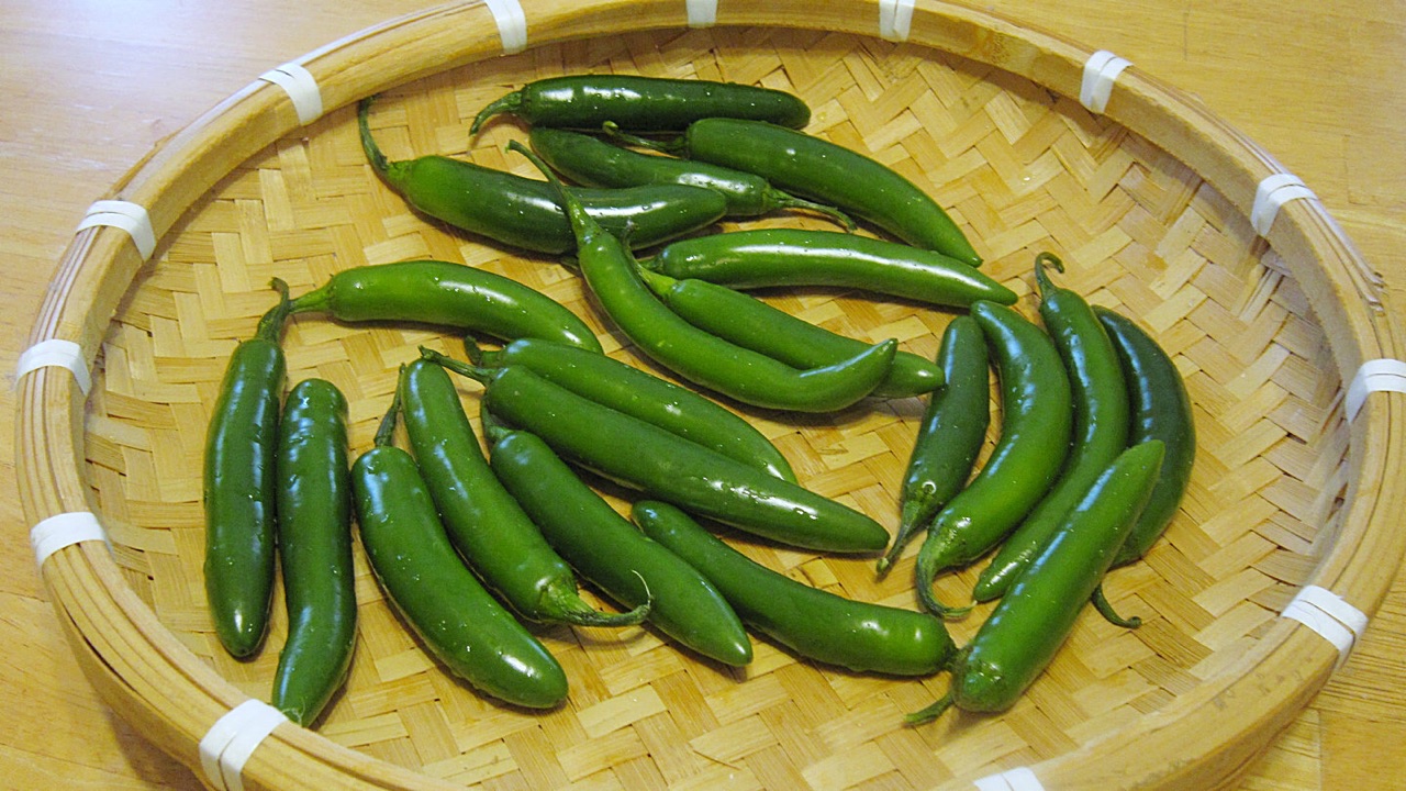 腌泡椒