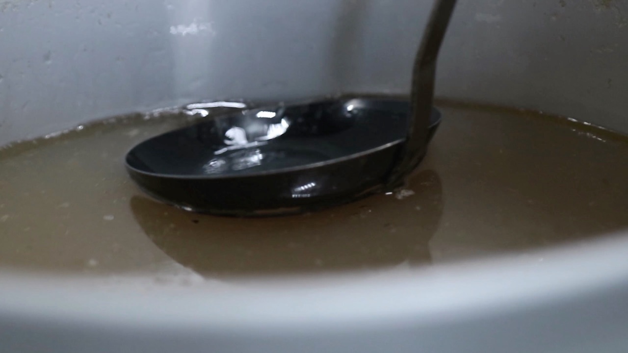 盐水鸭