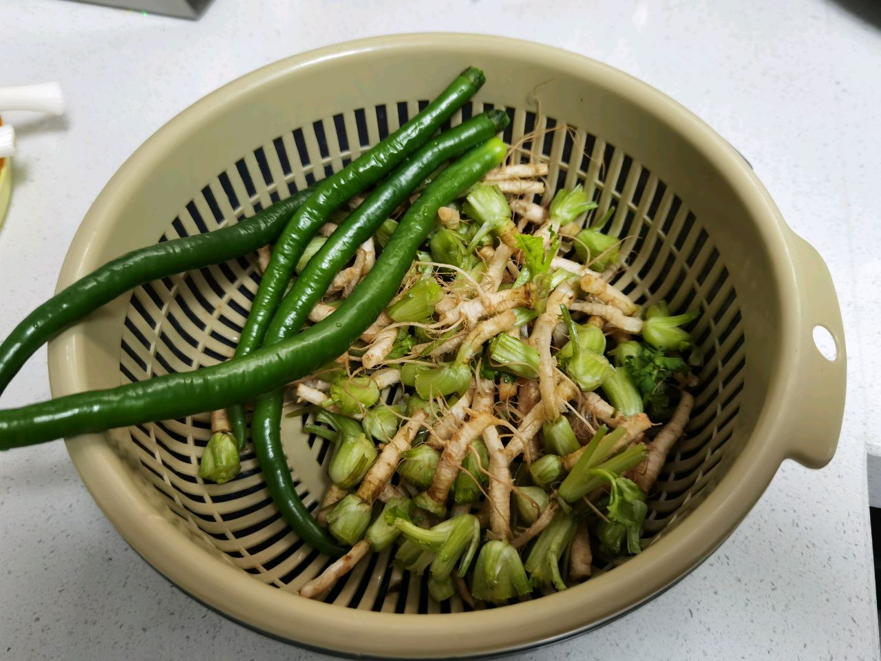 腌香菜根