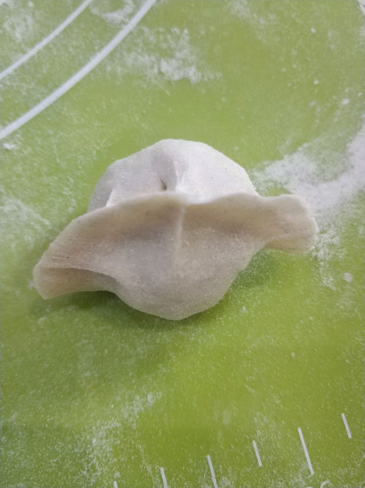 羊肉萝卜饺子