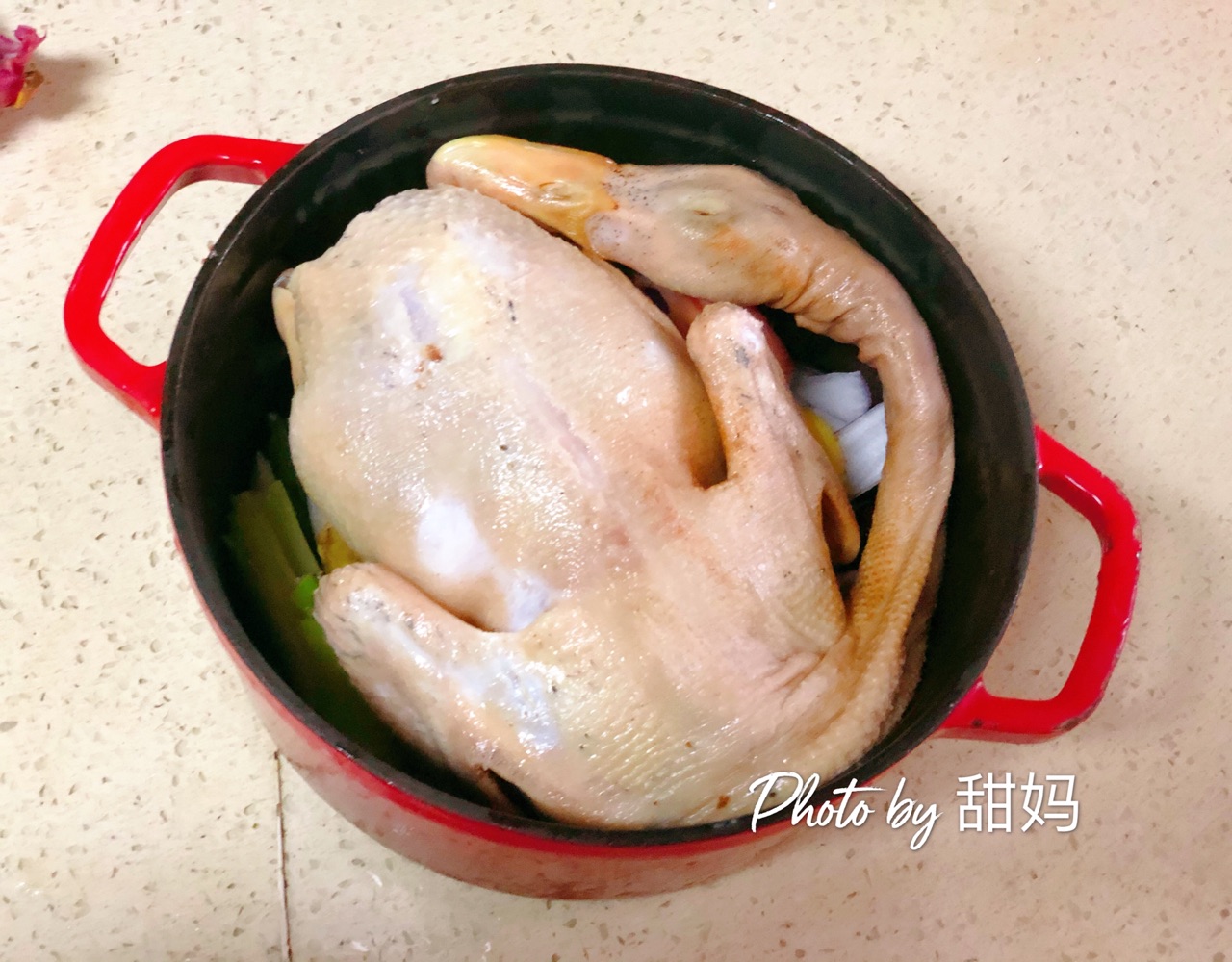 养生鸭