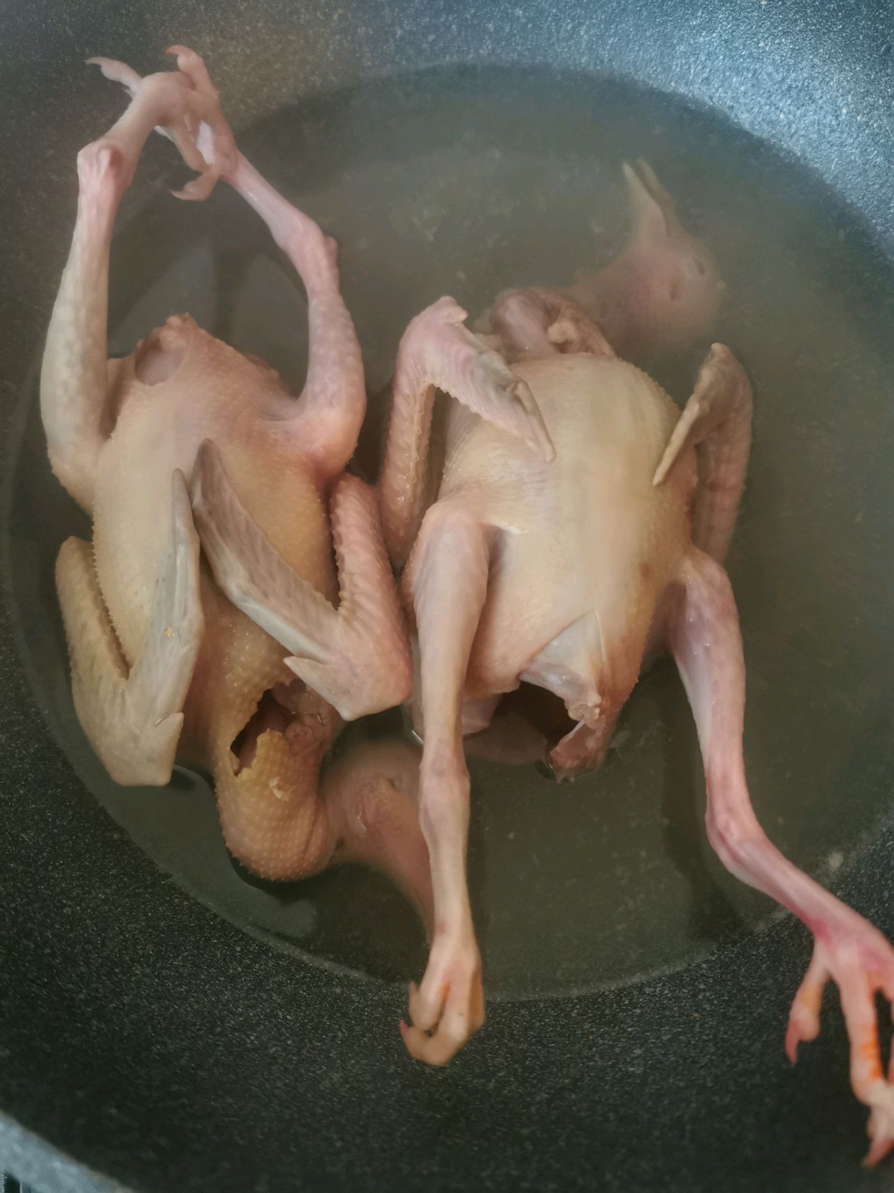 药善卤鸽子