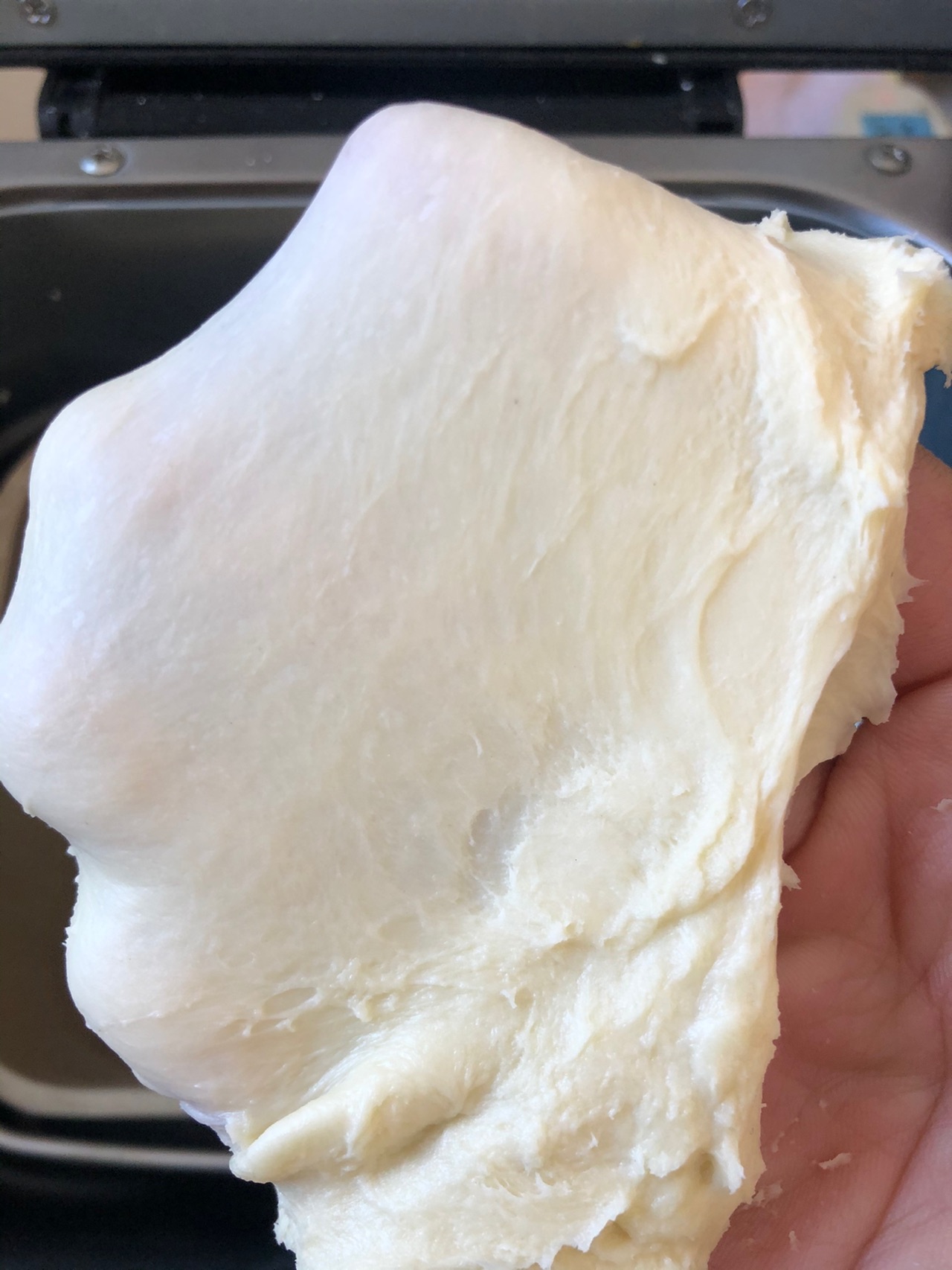 椰蓉小餐包