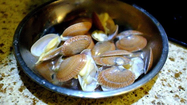 夜市摊的砂锅花甲粉丝煲