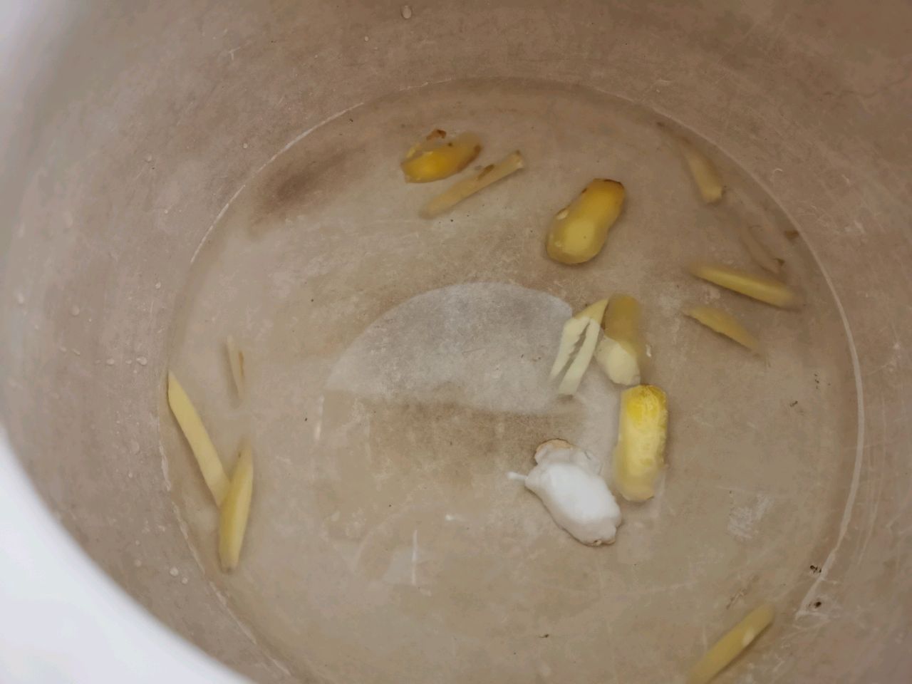 椰子鸡