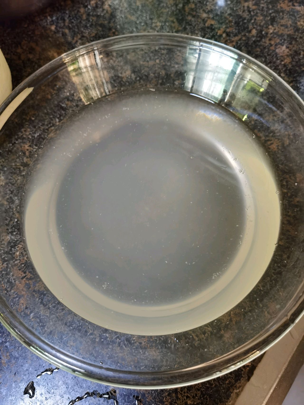 椰子牛奶双色冻