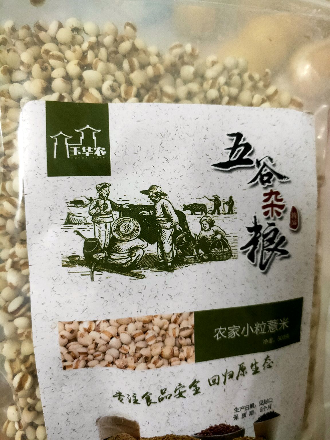 薏米陈皮水