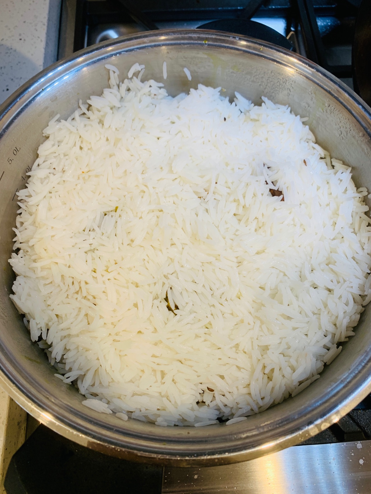 印度羊肉炒饭