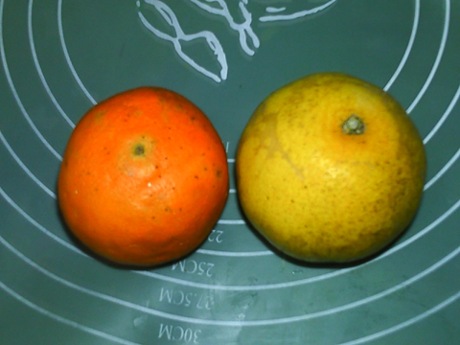 柚橙蜜饮