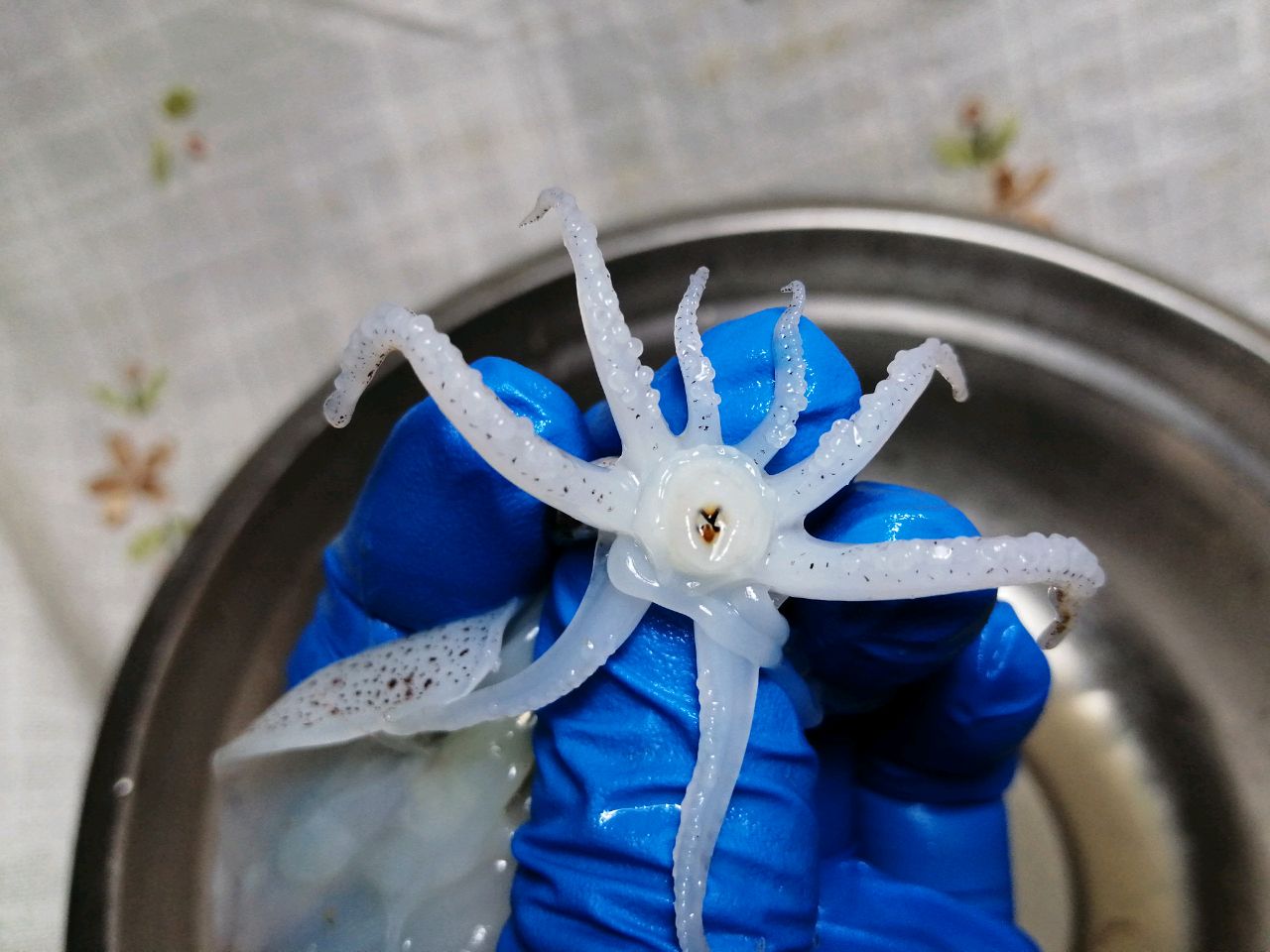 油泼笔管鱼