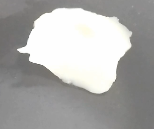 鱿鱼包饭