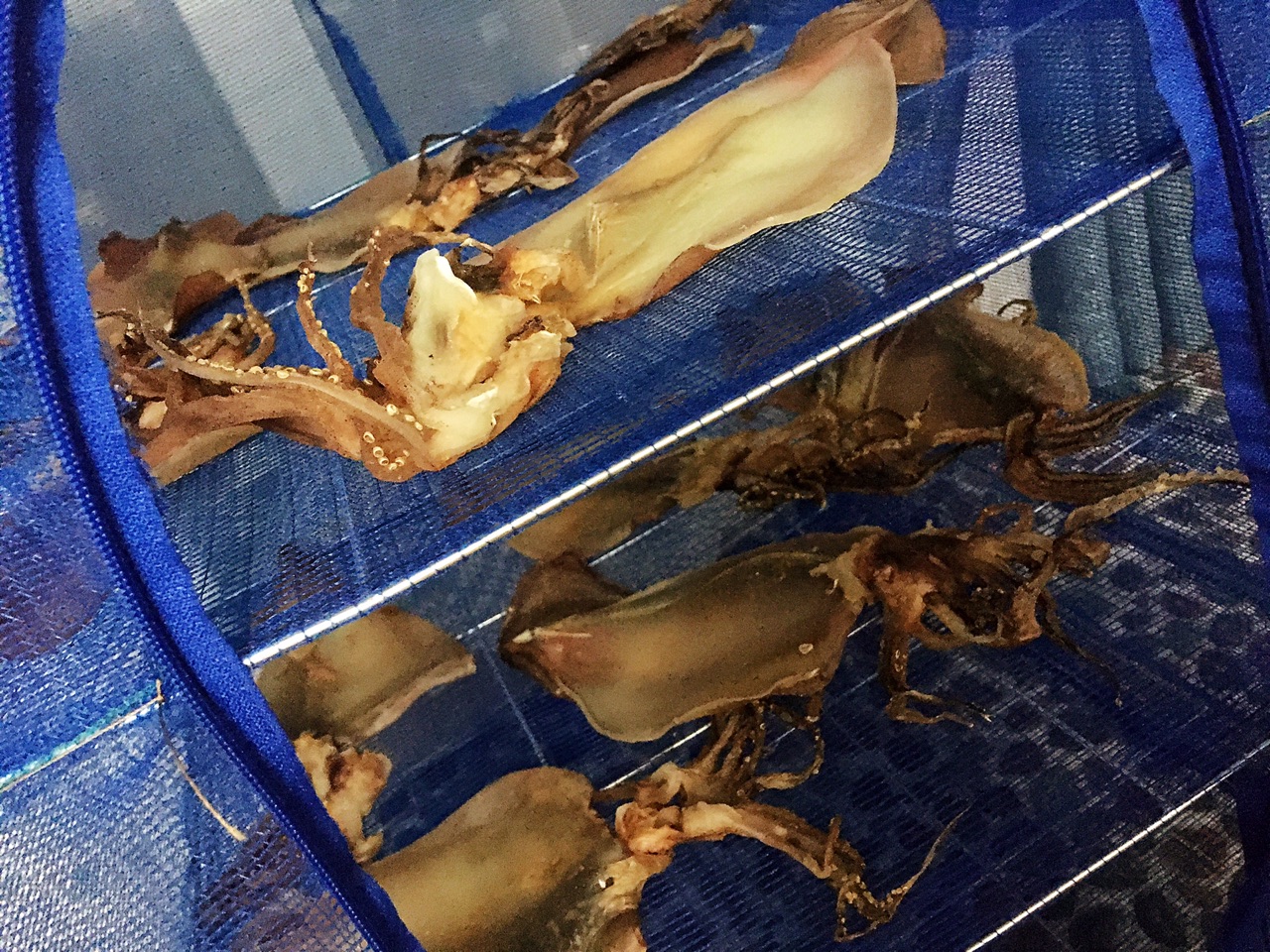 鱿鱼干