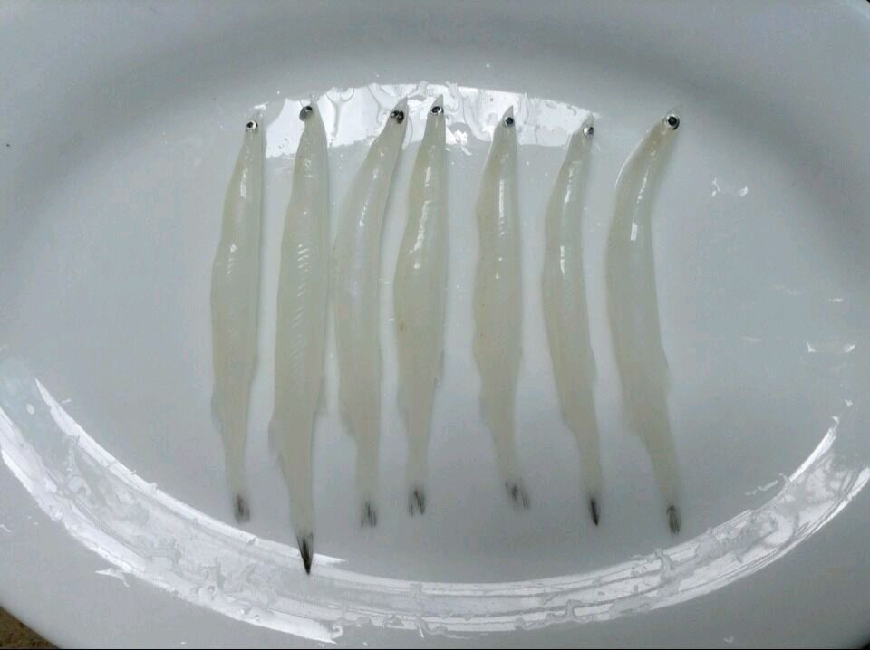 油炸香酥银鱼