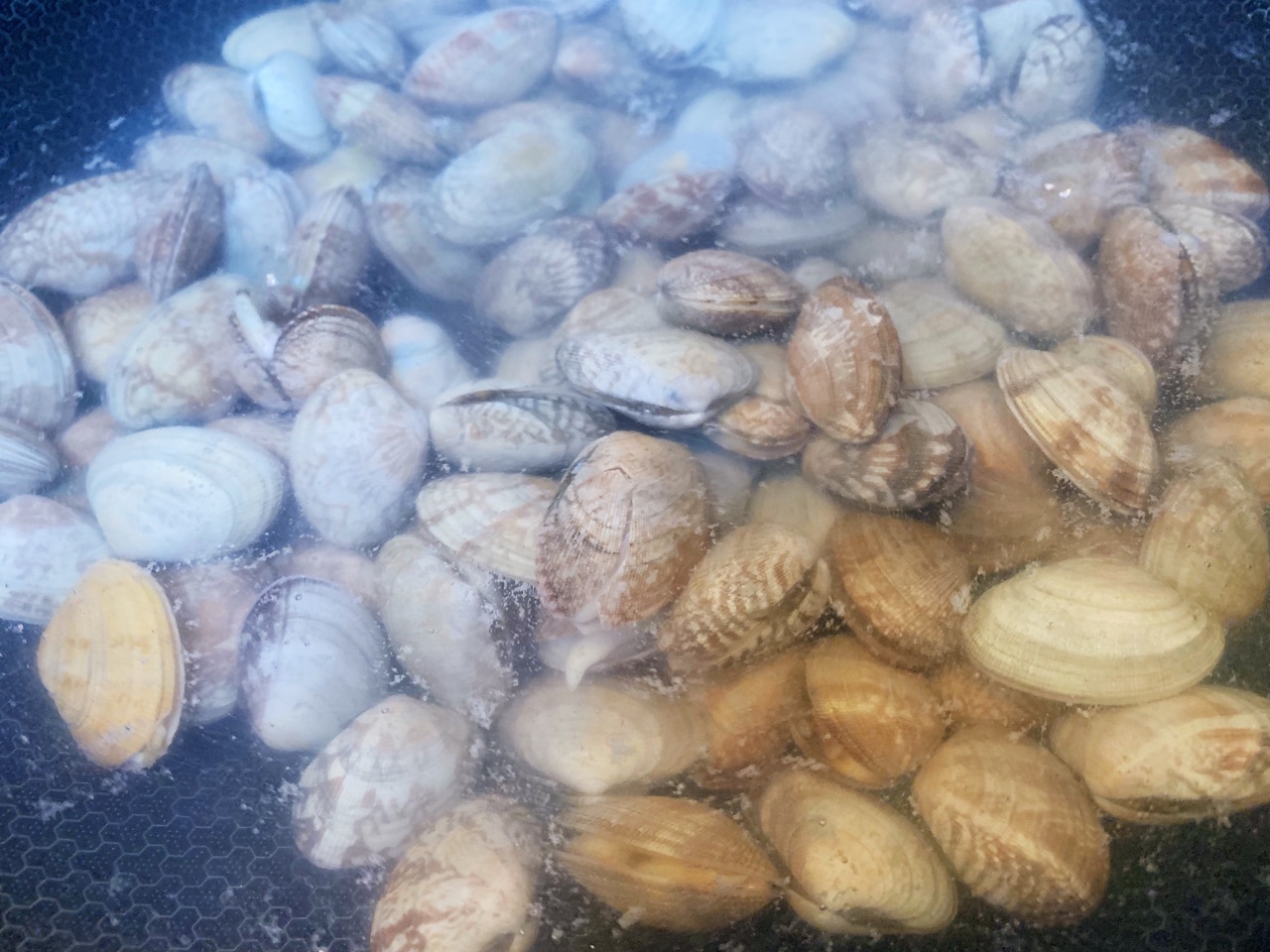 鱼丸鲜汤煲