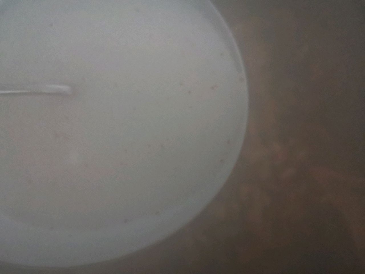 鱼香肉丝（窝窝头）