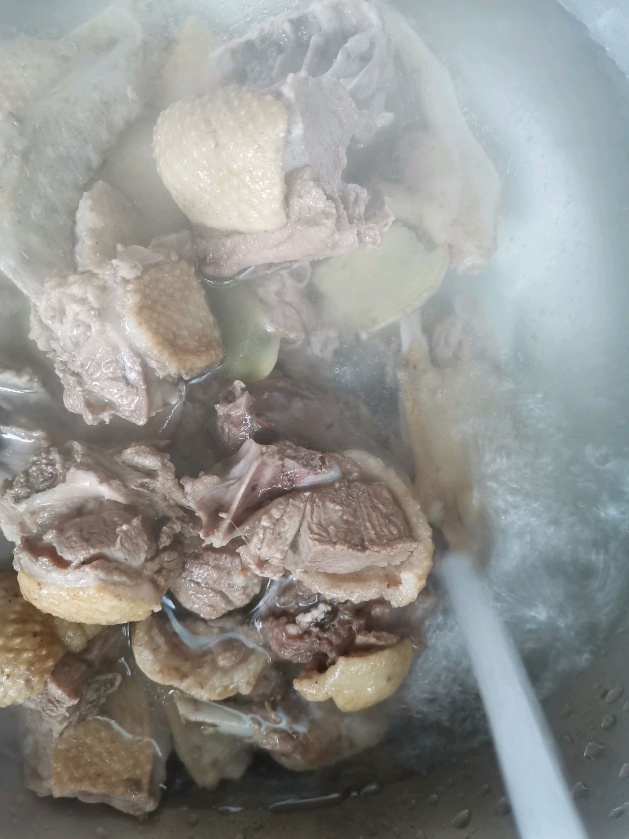 鱼腥草芹菜鸭肉汤