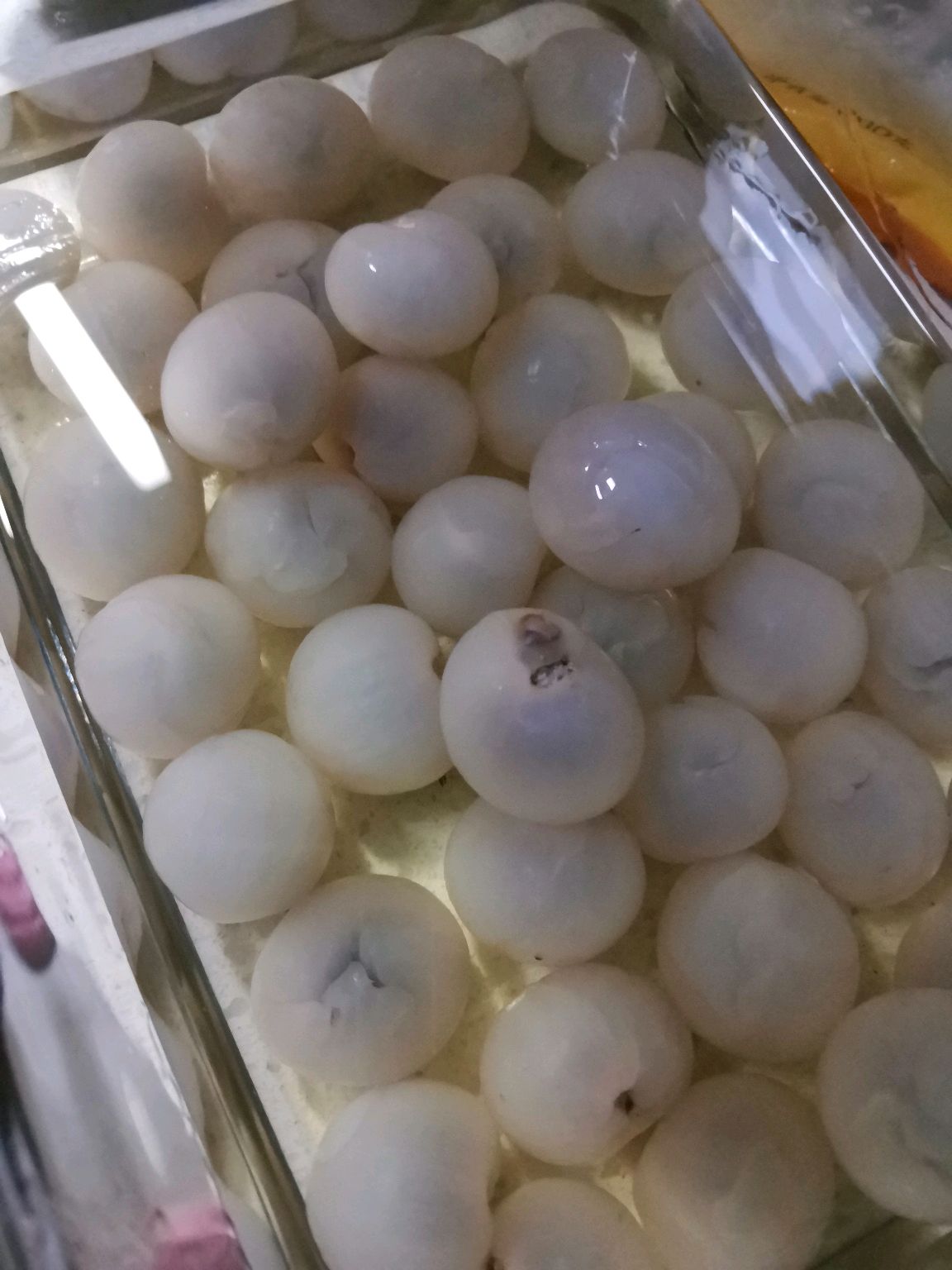 与众不同的糖渍酒香橙皮丁（不去白瓤）