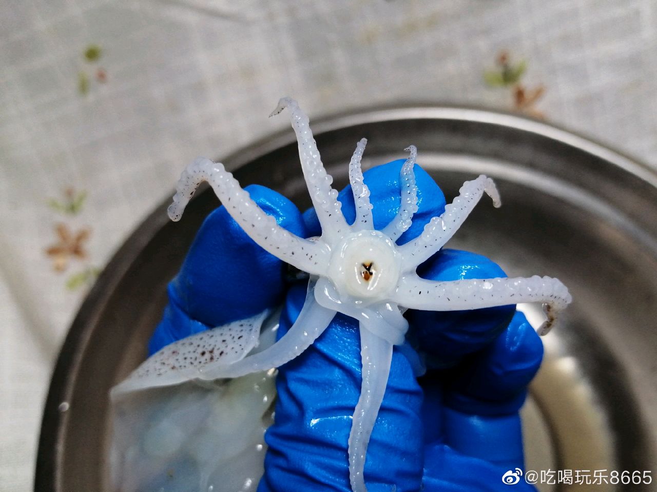 原汁笔管鱼