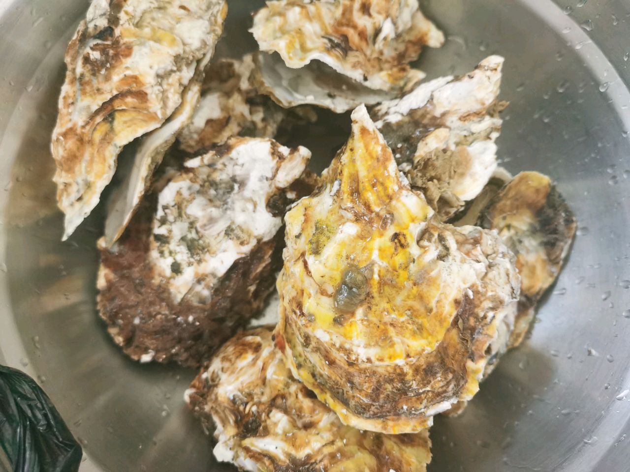 粤式经典❤️蒜蓉粉丝生蚝