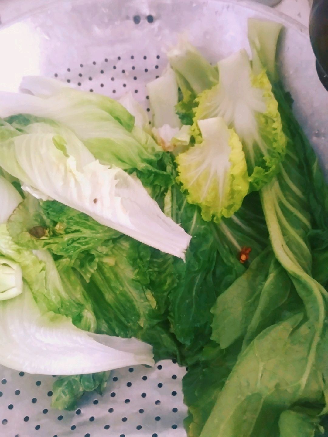 云南菜叶素腐乳