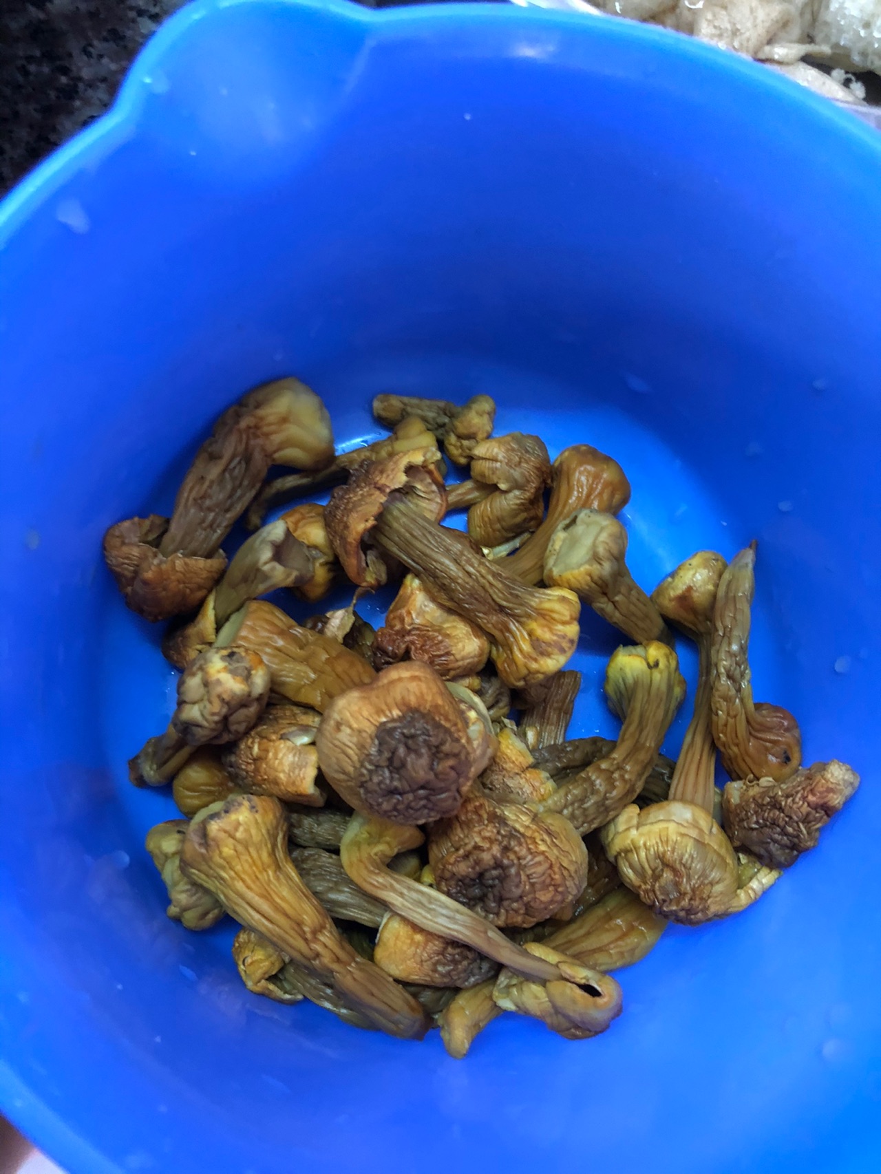 杂菌煲鸡
