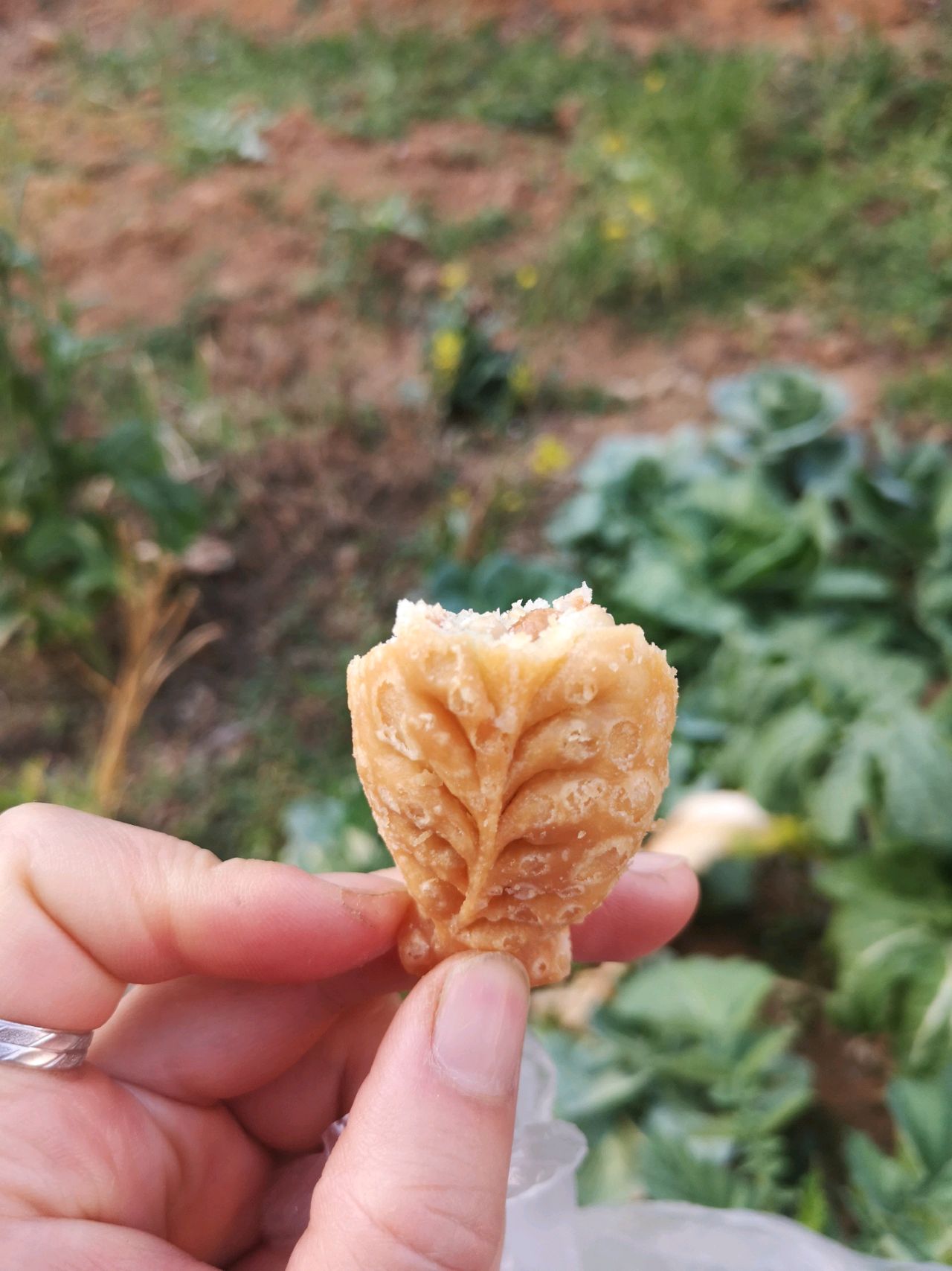 炸油角（炸饺）