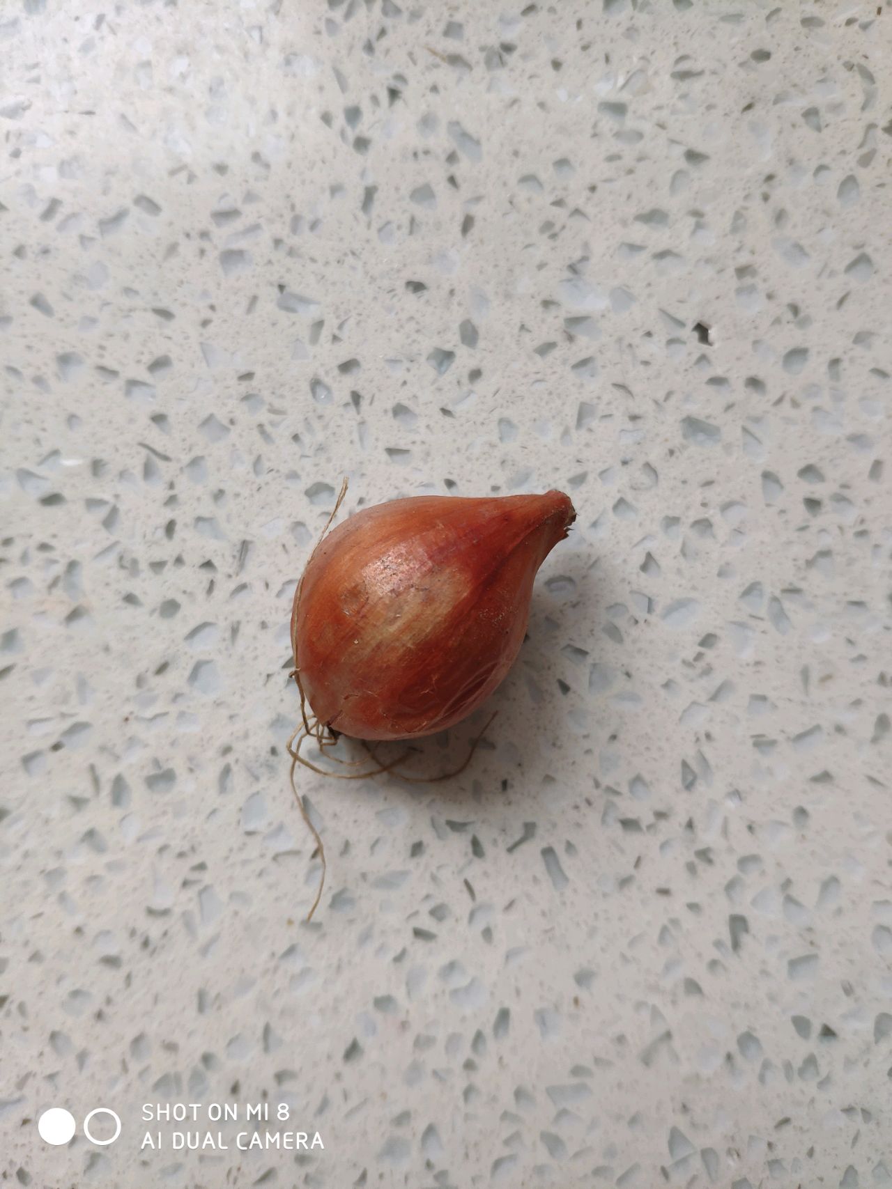 照烧鸡