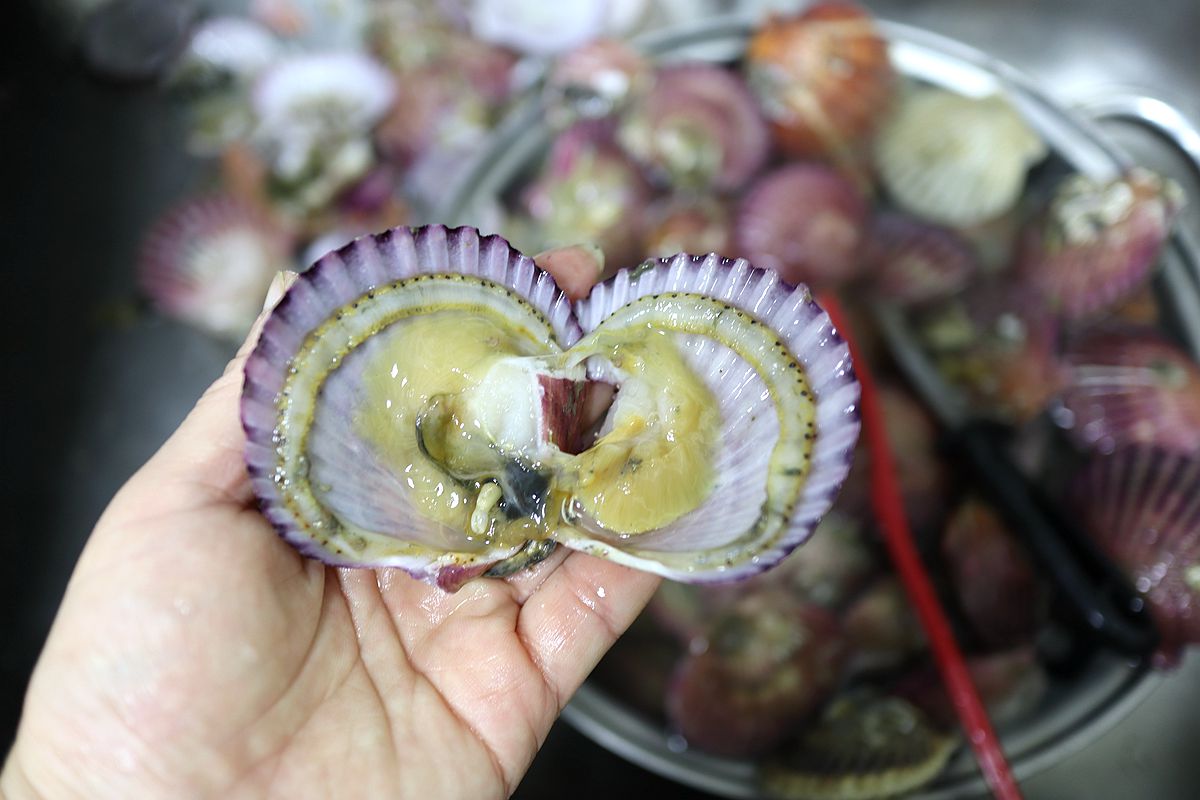 蒸蒜茸粉丝扇贝