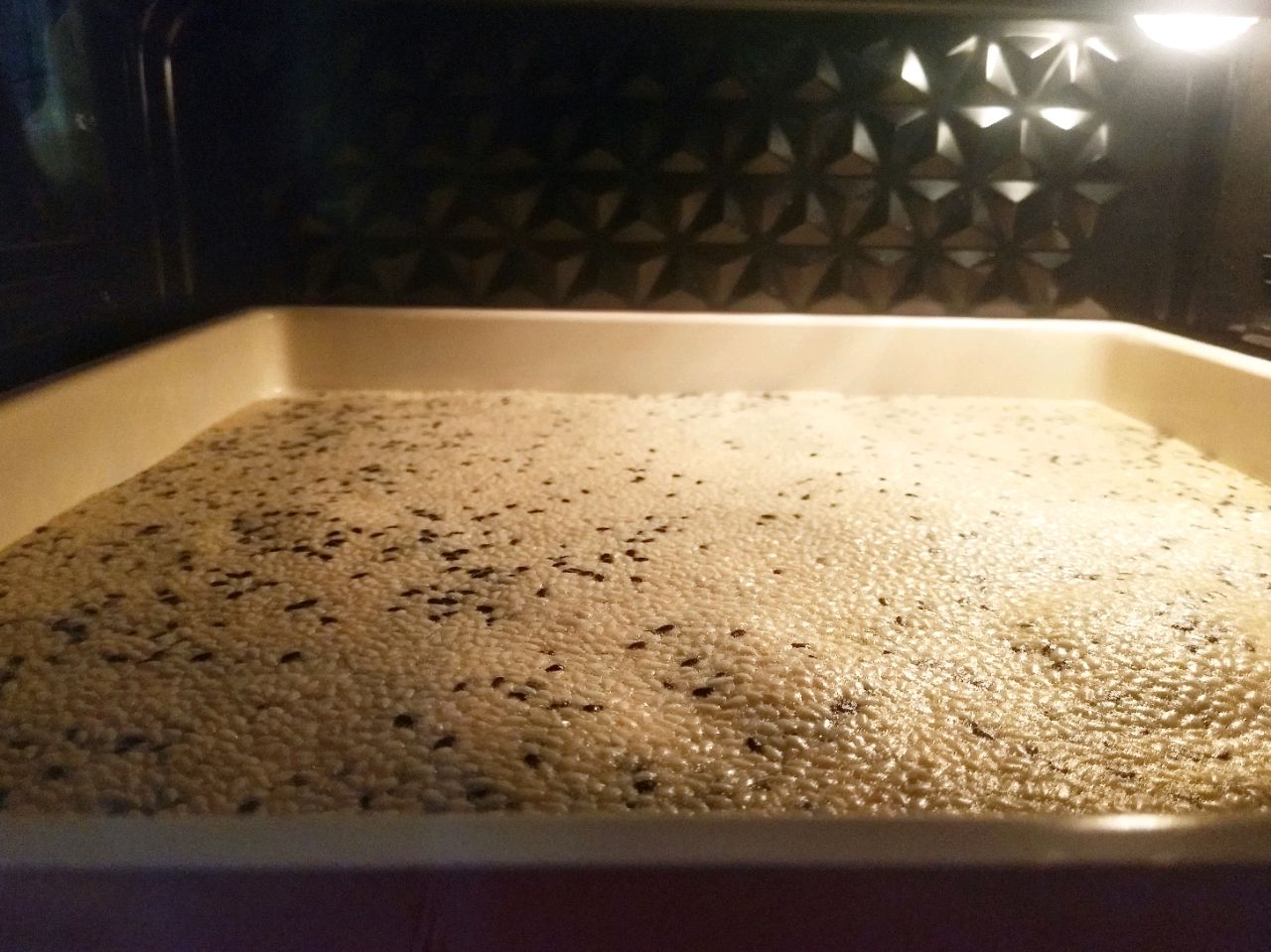 芝麻薄脆饼