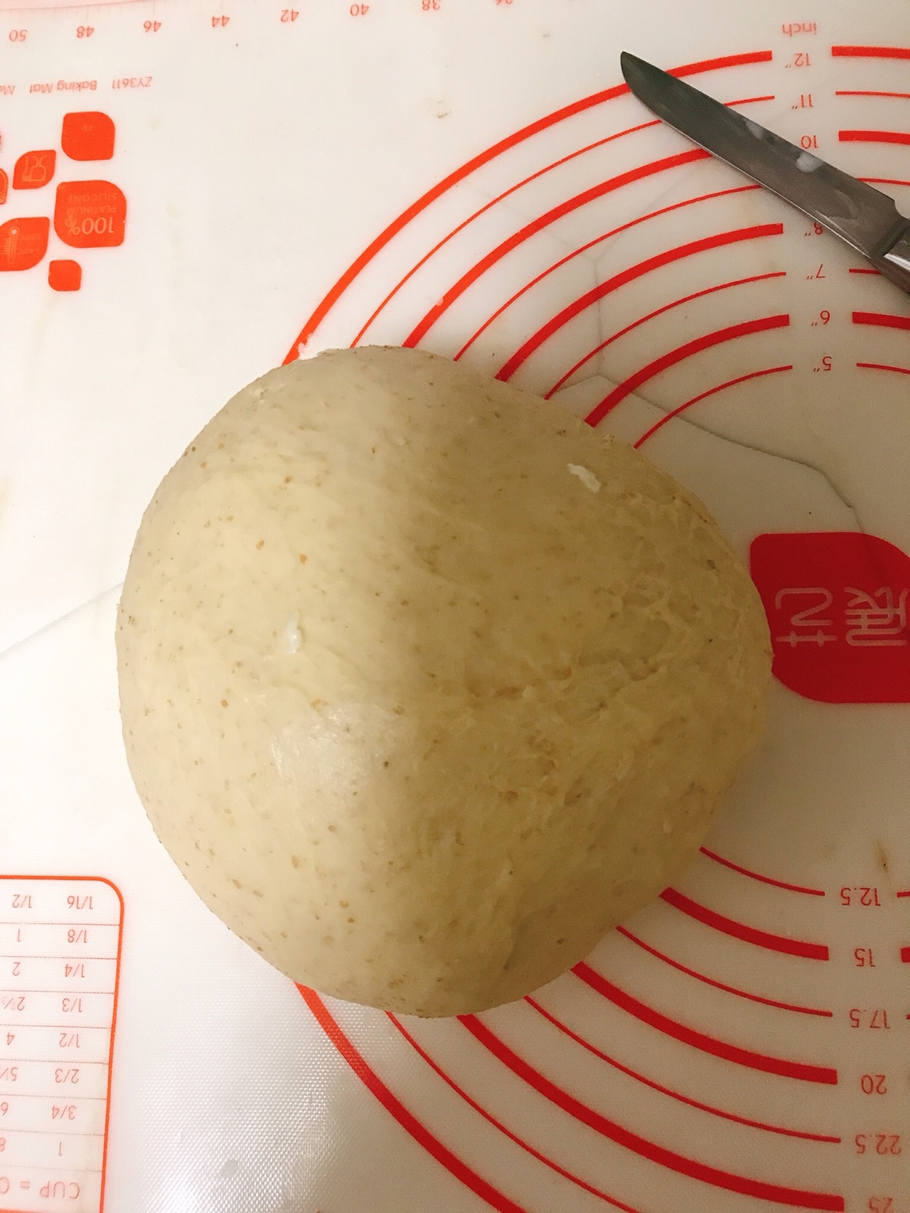 中种全麦盐面包