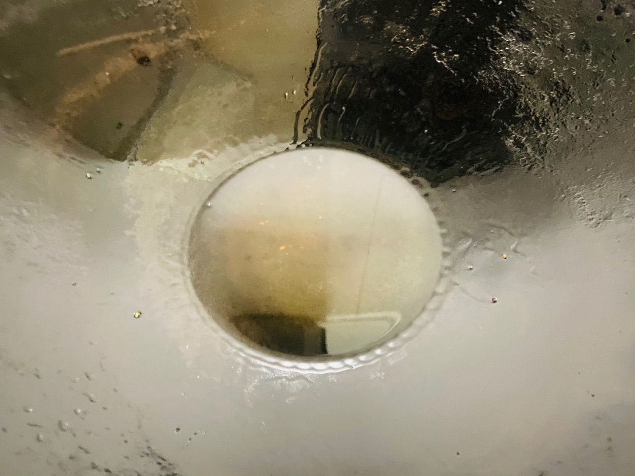 猪肉四季豆洋葱闷面