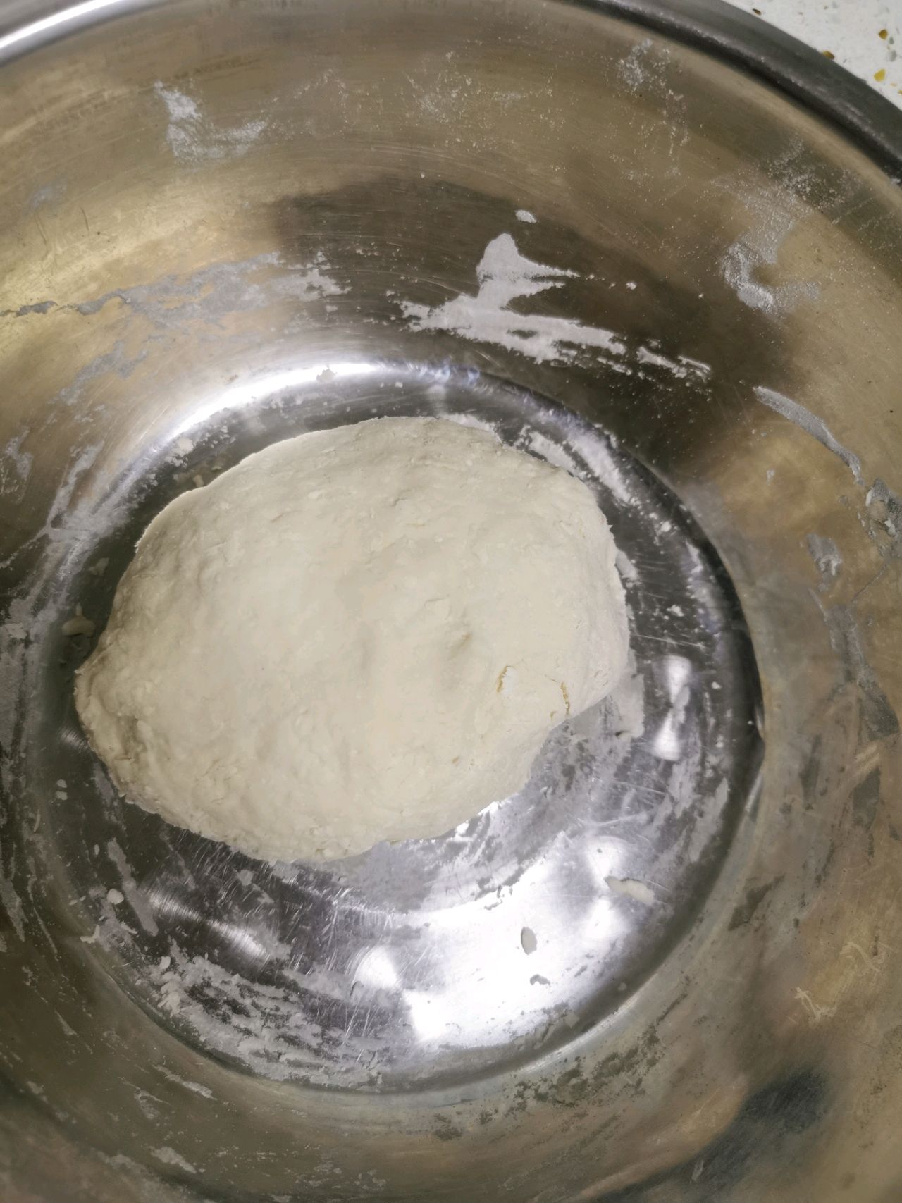 猪肉白菜大葱饺子