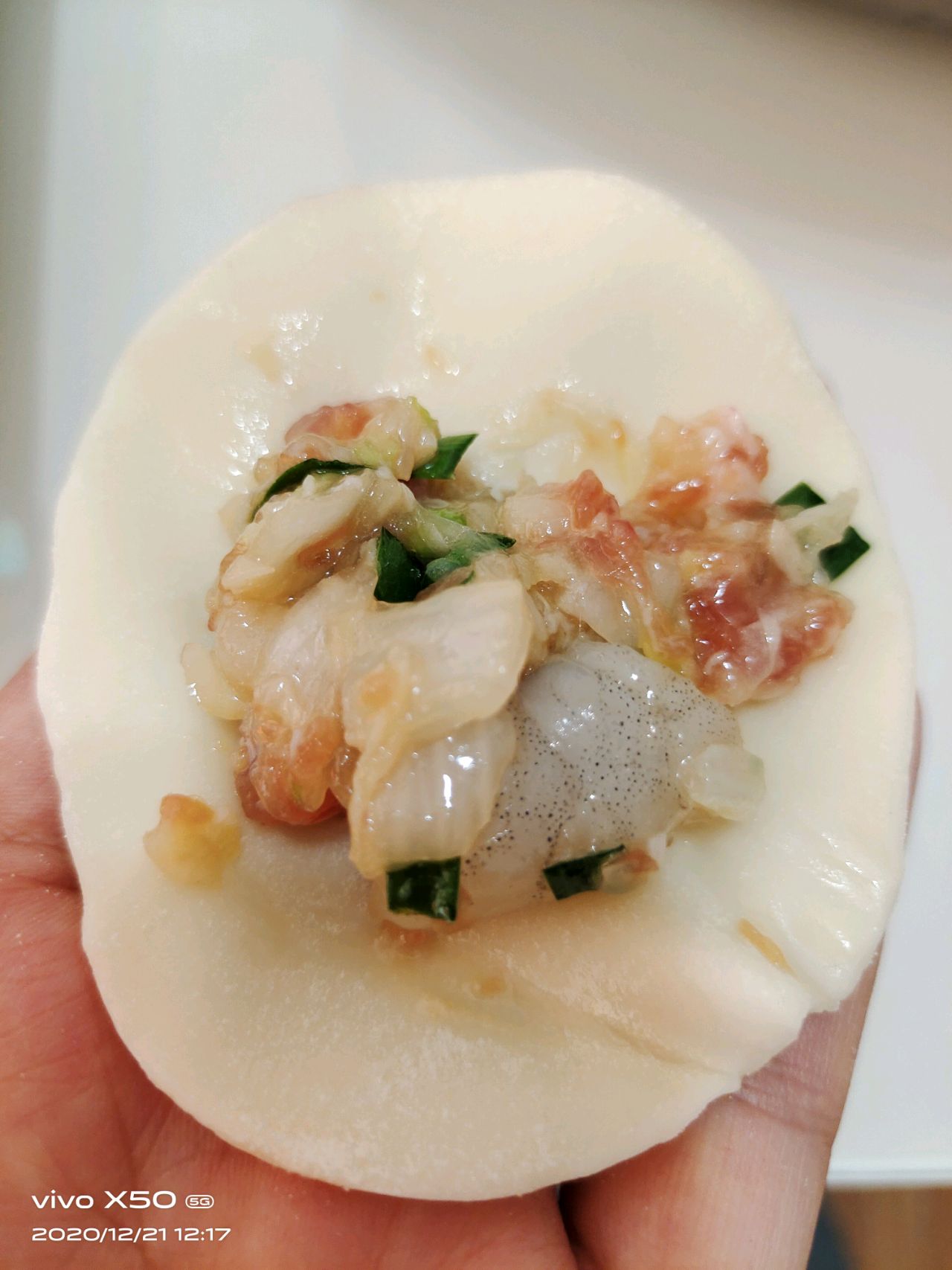 猪肉白菜虾仁饺子
