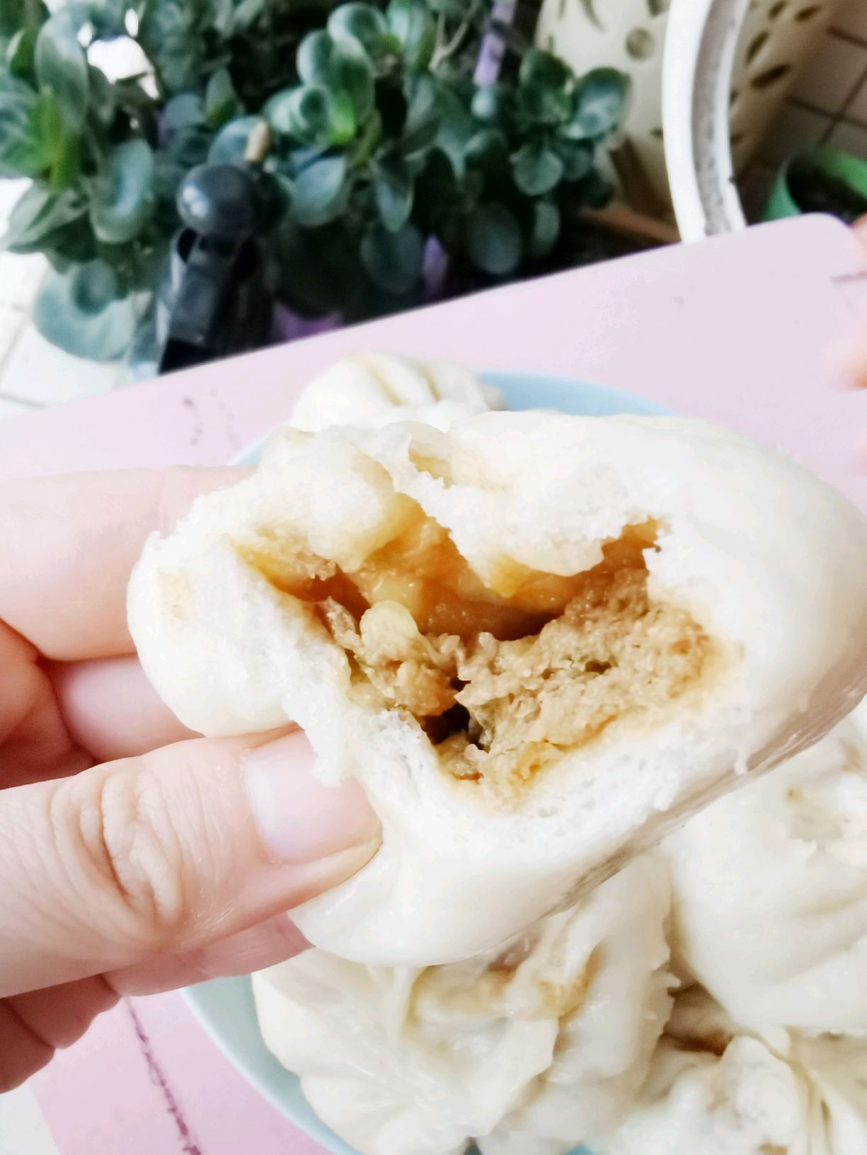 猪肉包菜馅包子
