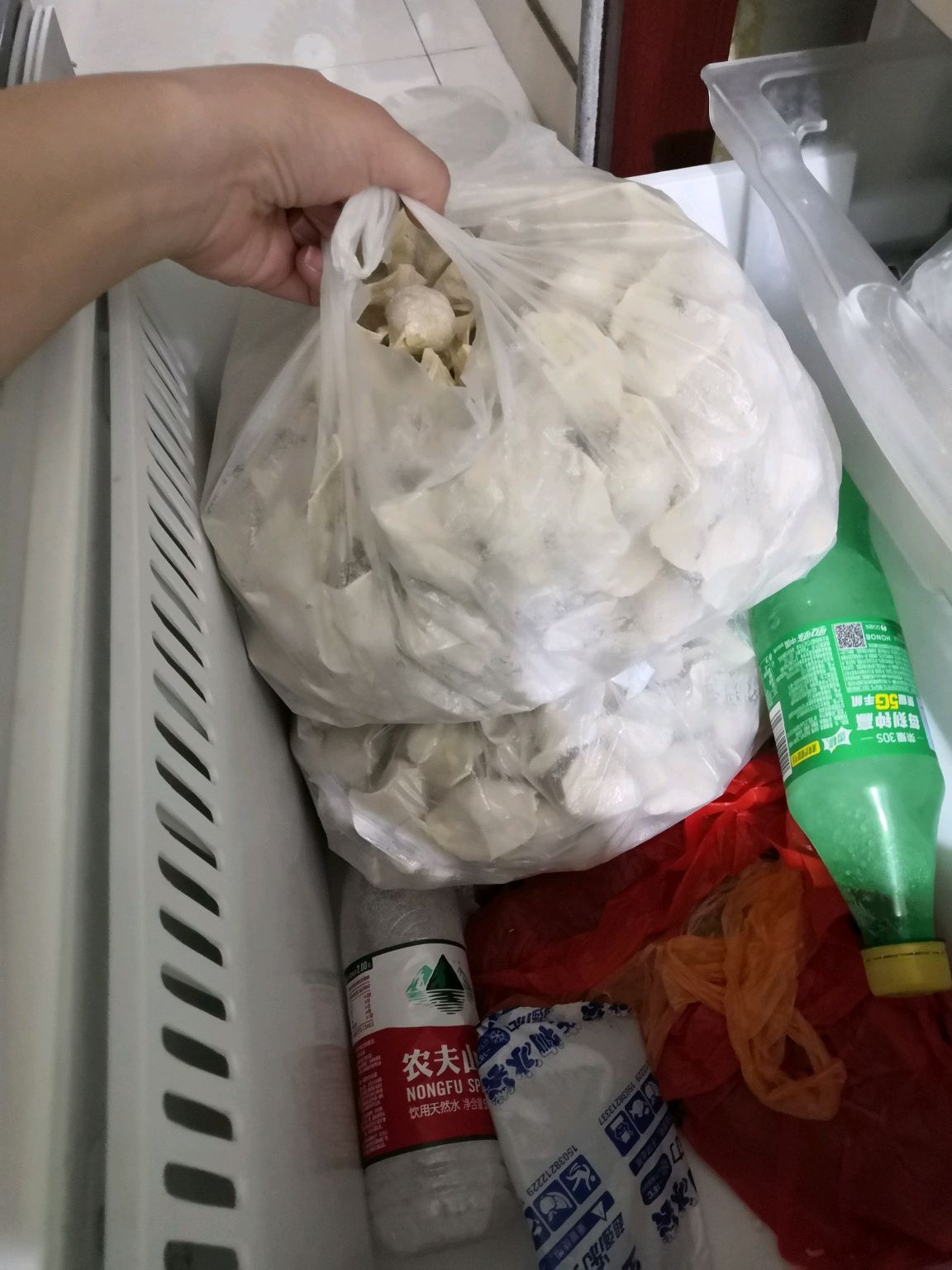猪肉莲藕饺子