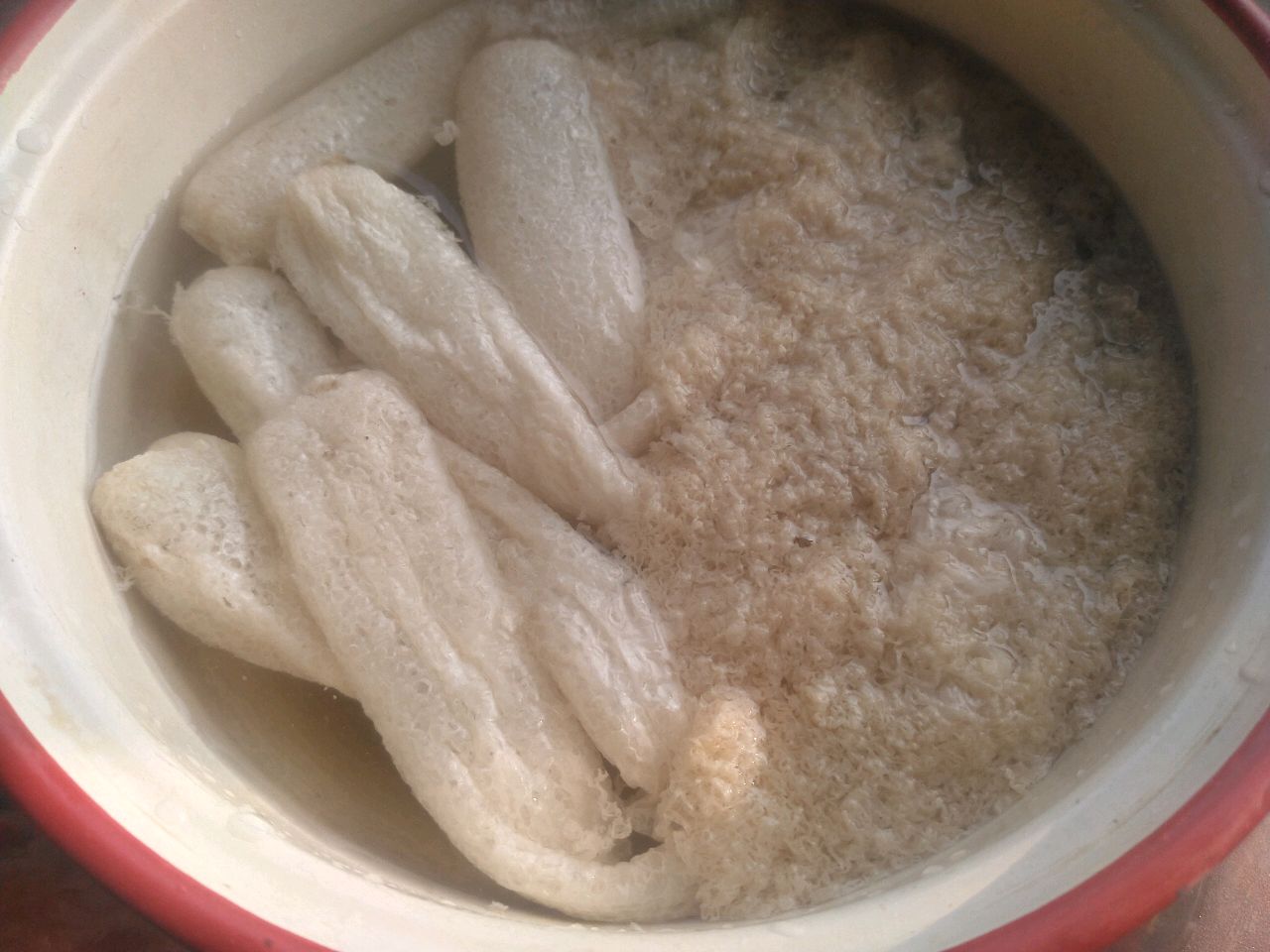竹荪炖鸡汤