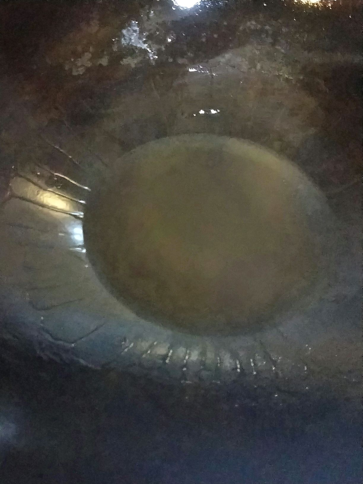 紫菜虾皮炒蛋