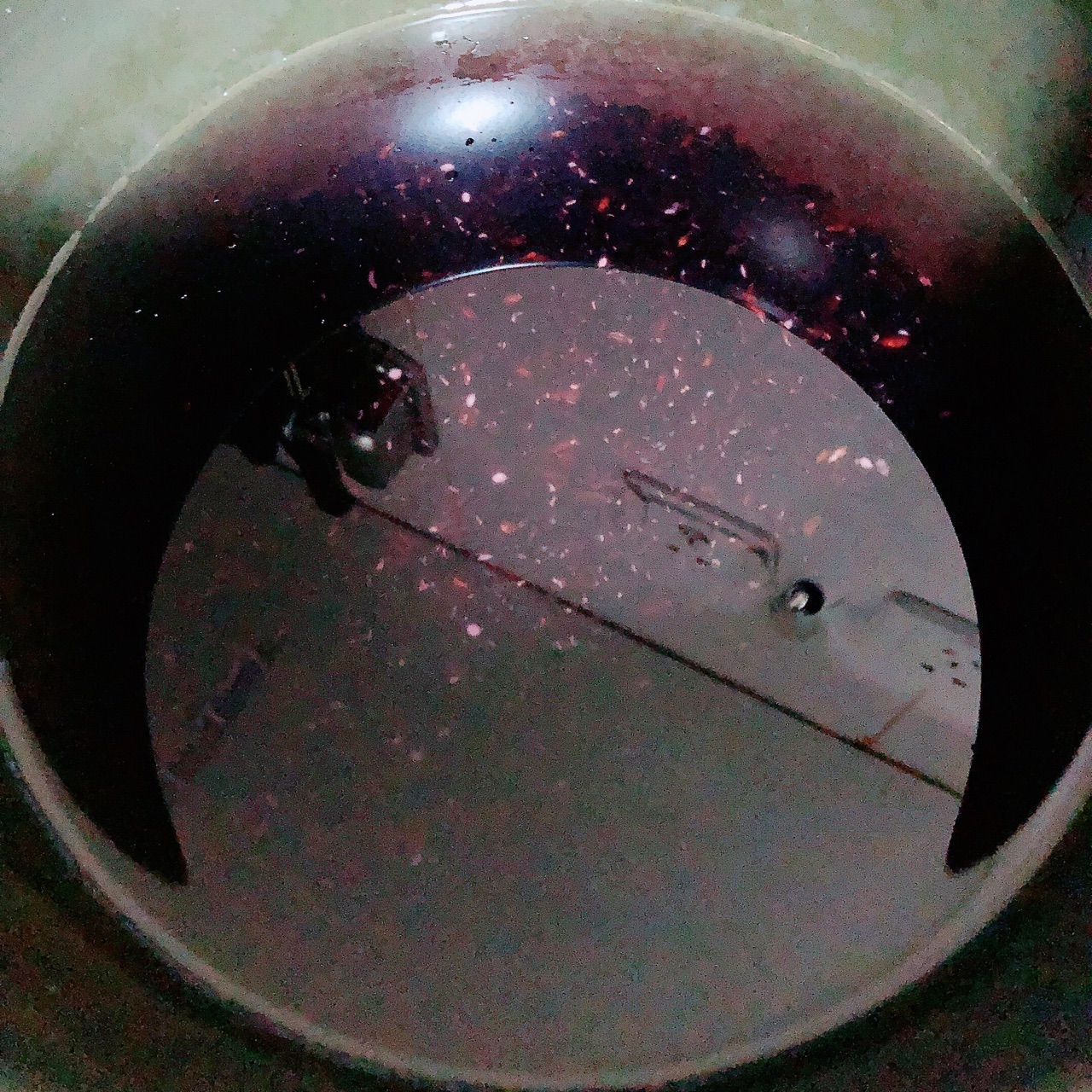 紫米奶酪面包