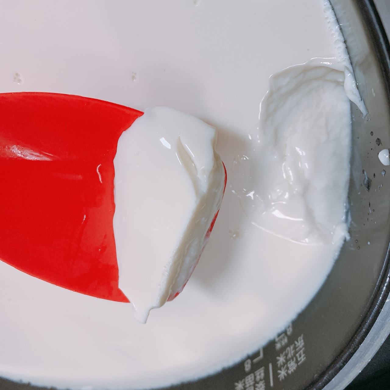 自制豆腐花和豆腐