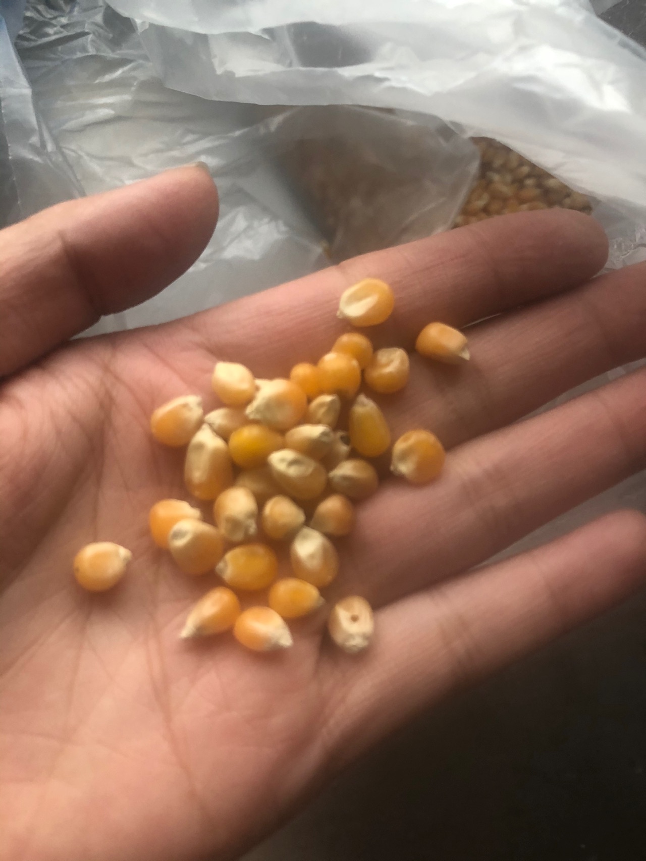 自制蜂蜜爆米花