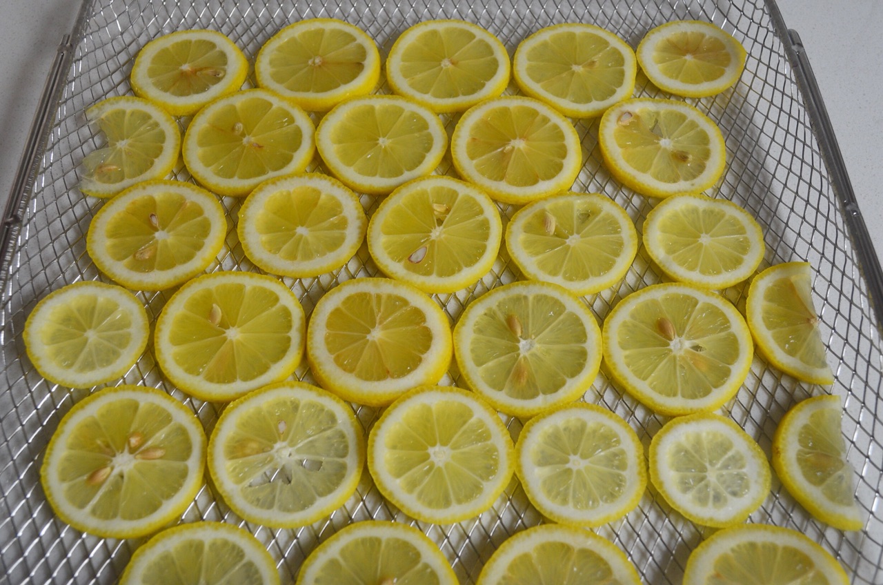 自制果干之西柚气泡水
