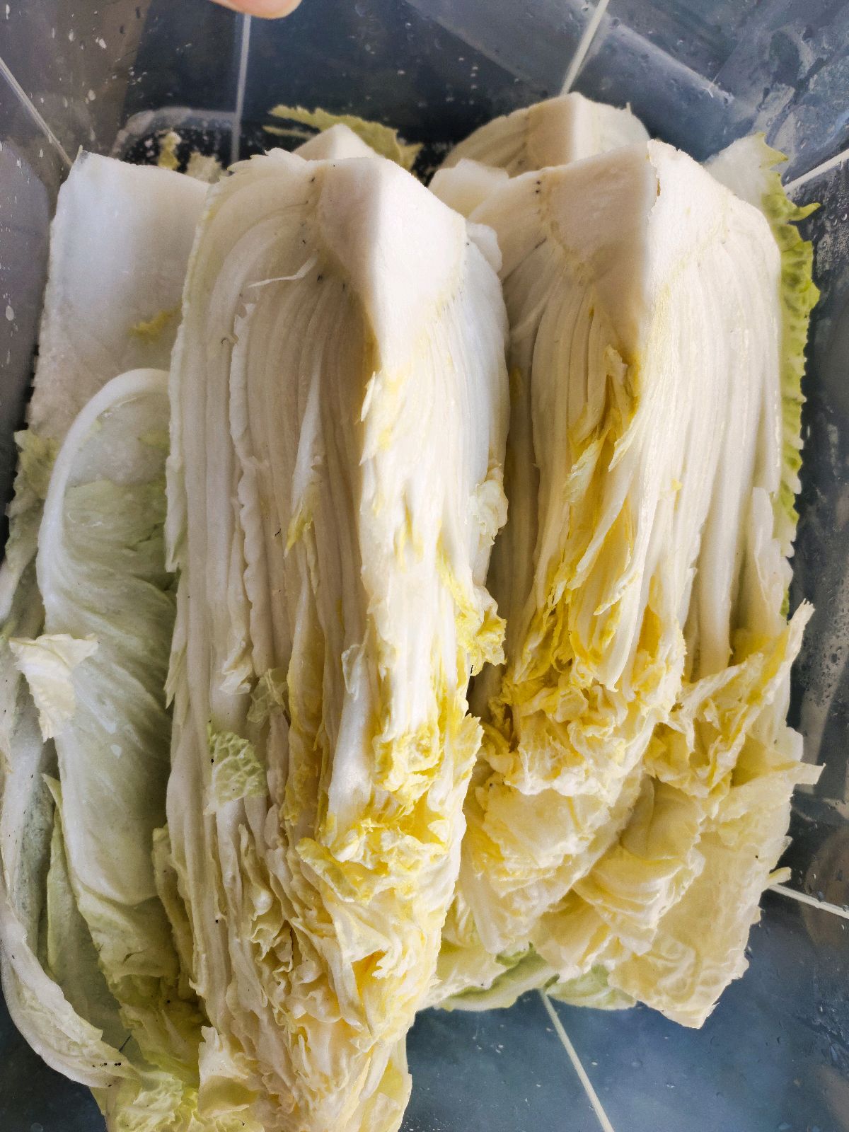 自制韩式泡菜