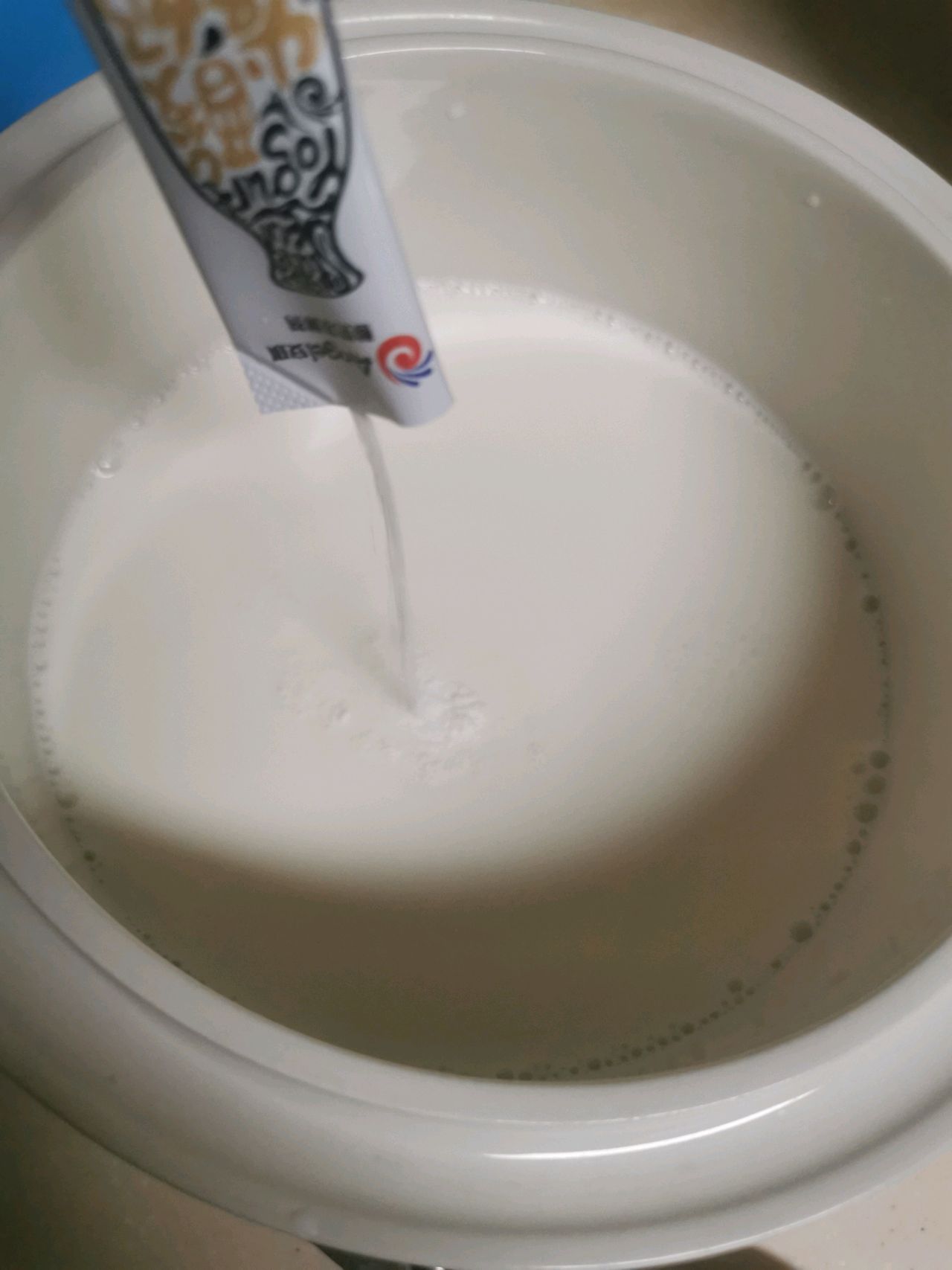 自制老酸奶