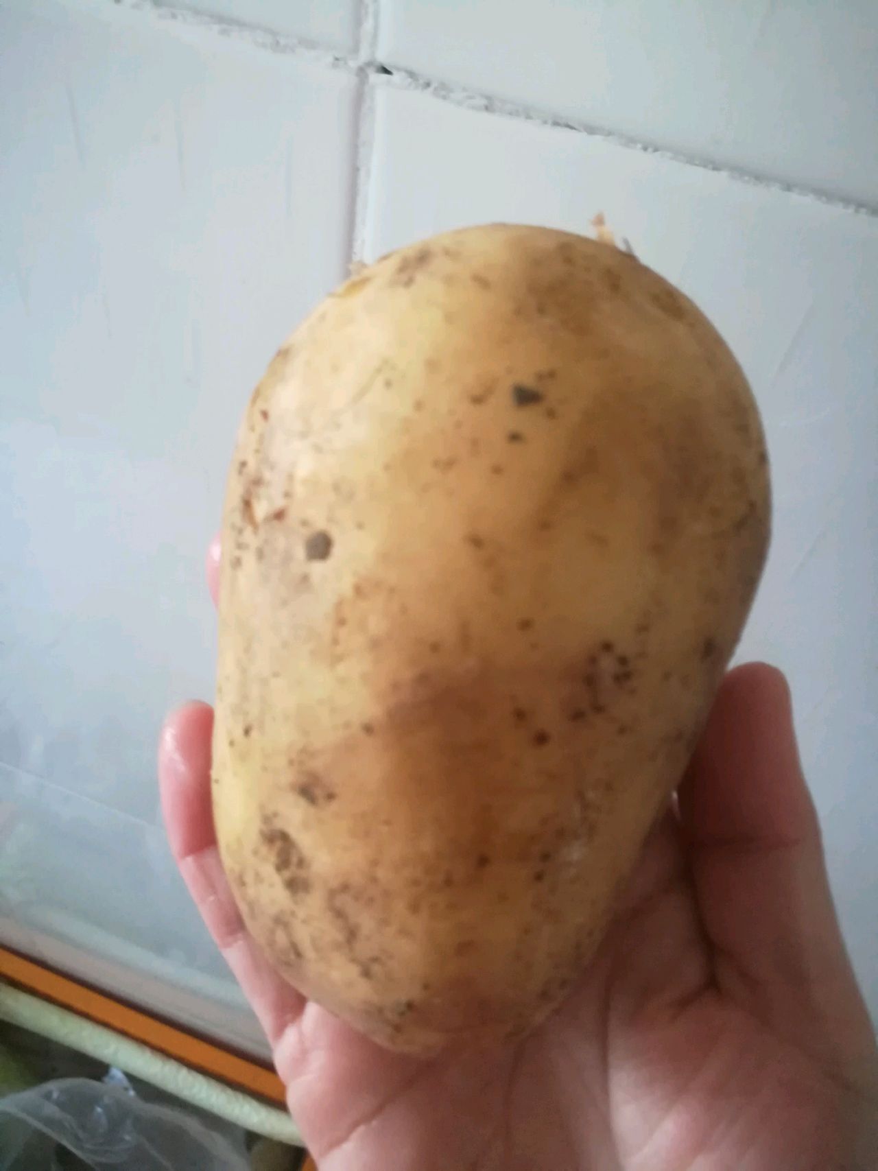 自制美味健康炸薯条