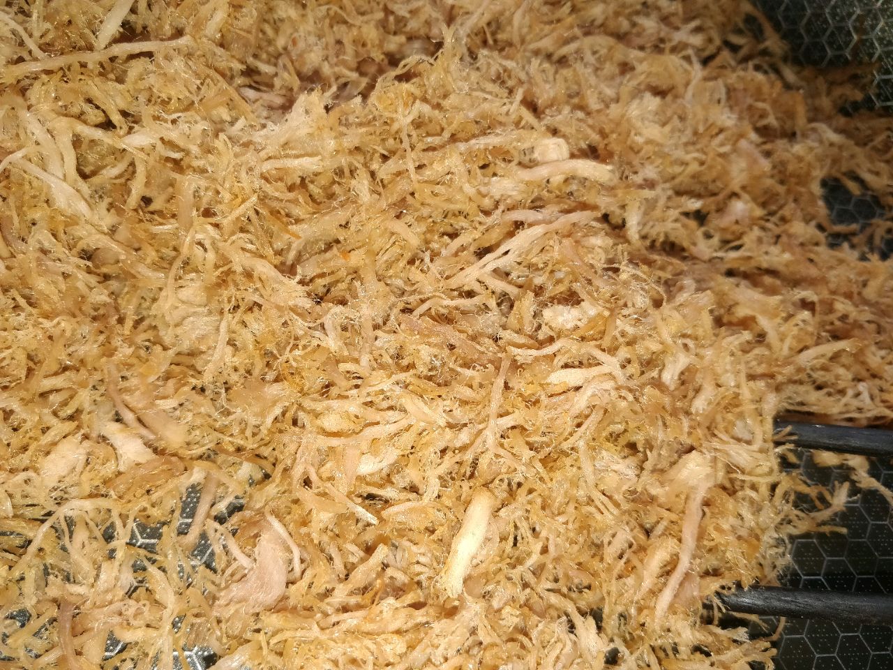 自制肉松