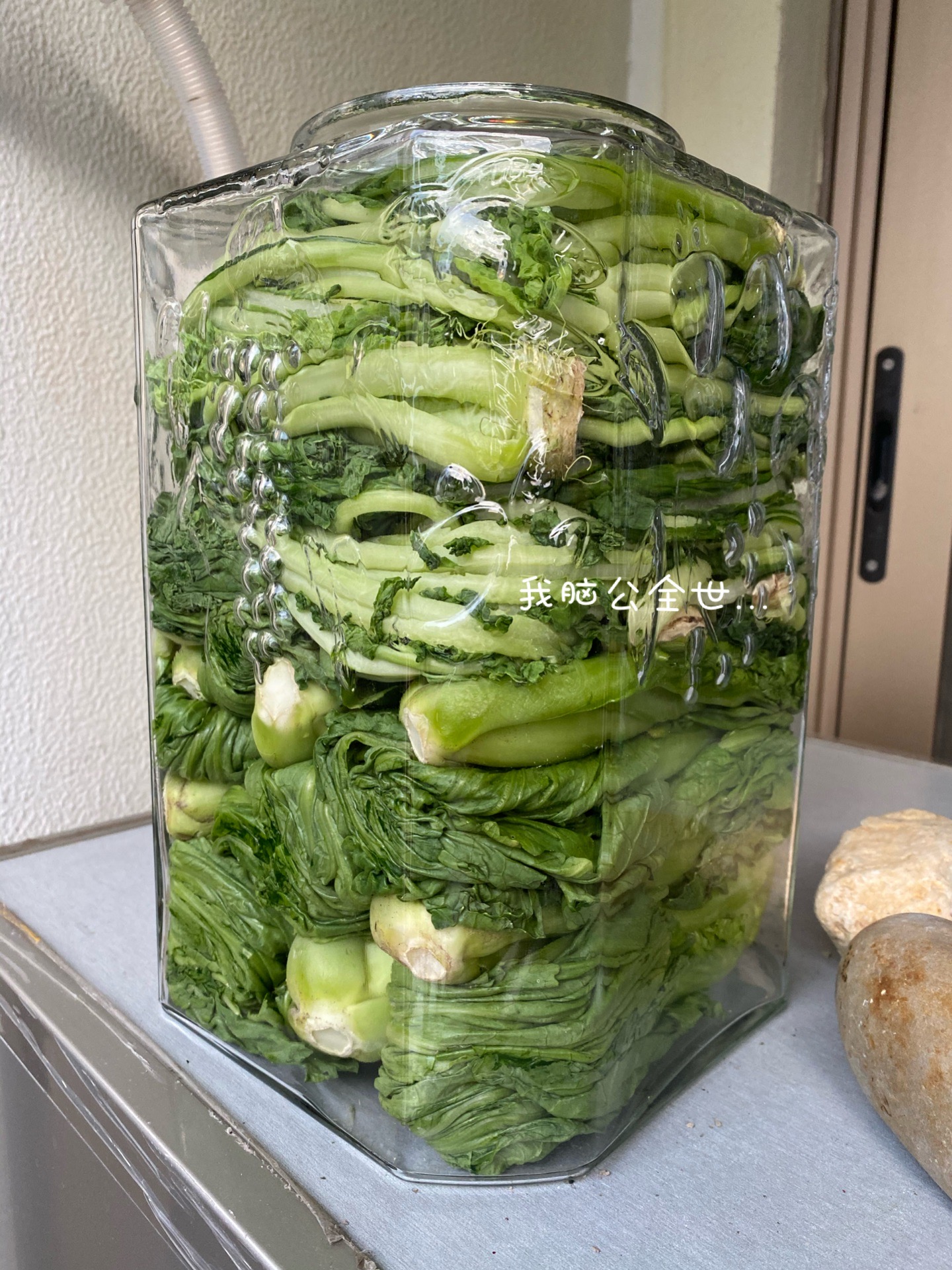 自制酸菜-零难度零失败