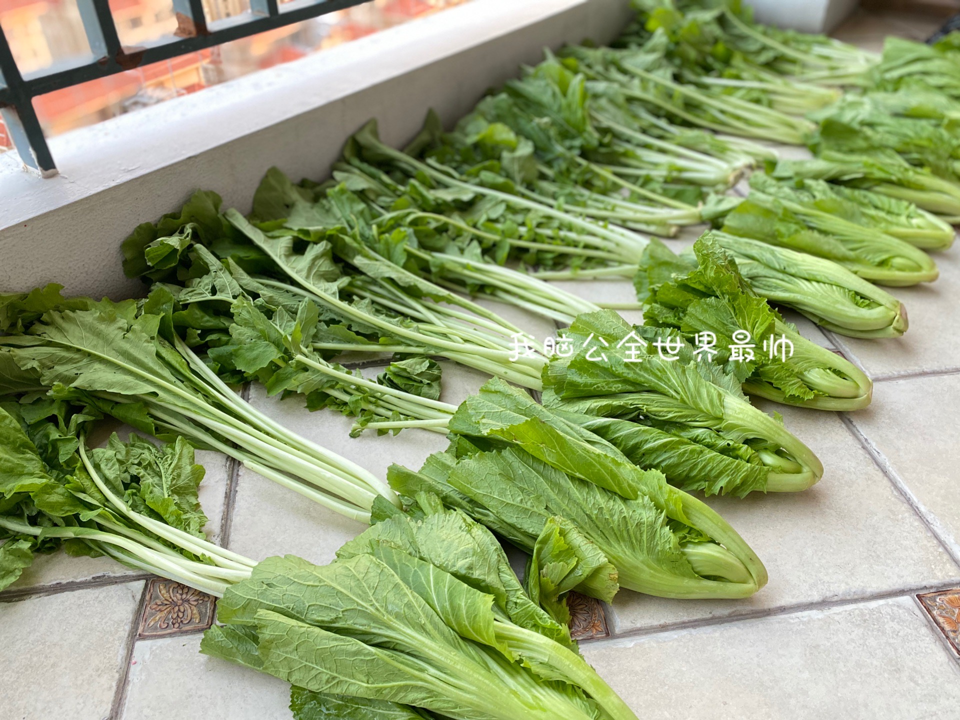 自制酸菜-零难度零失败